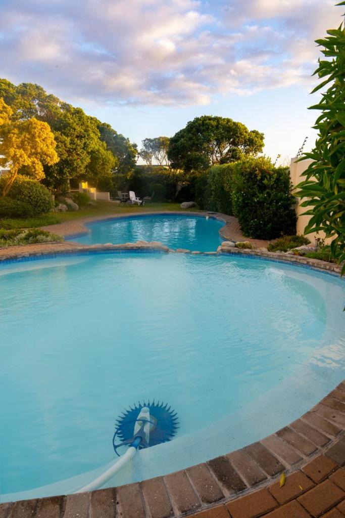 Refresh at 50 Whale Rock view 5