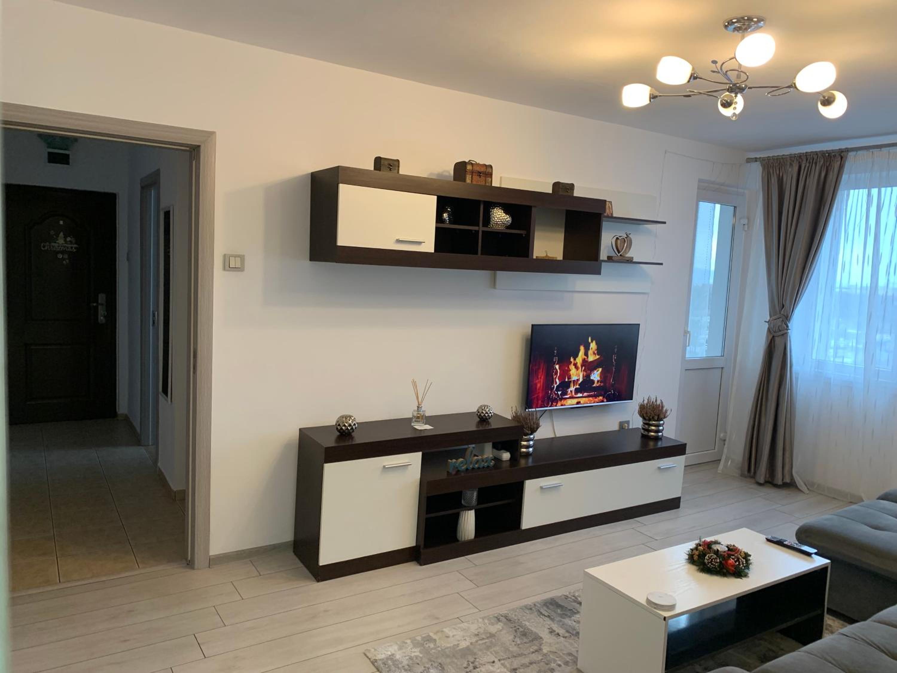 Victoriei Boulevard Private Apartment view 5