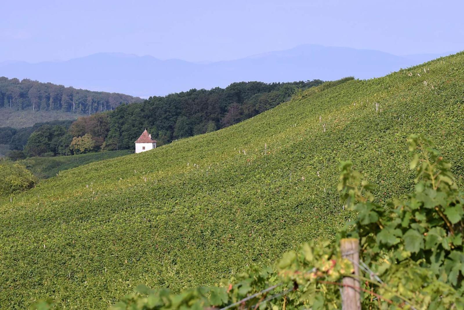 Am Paradies