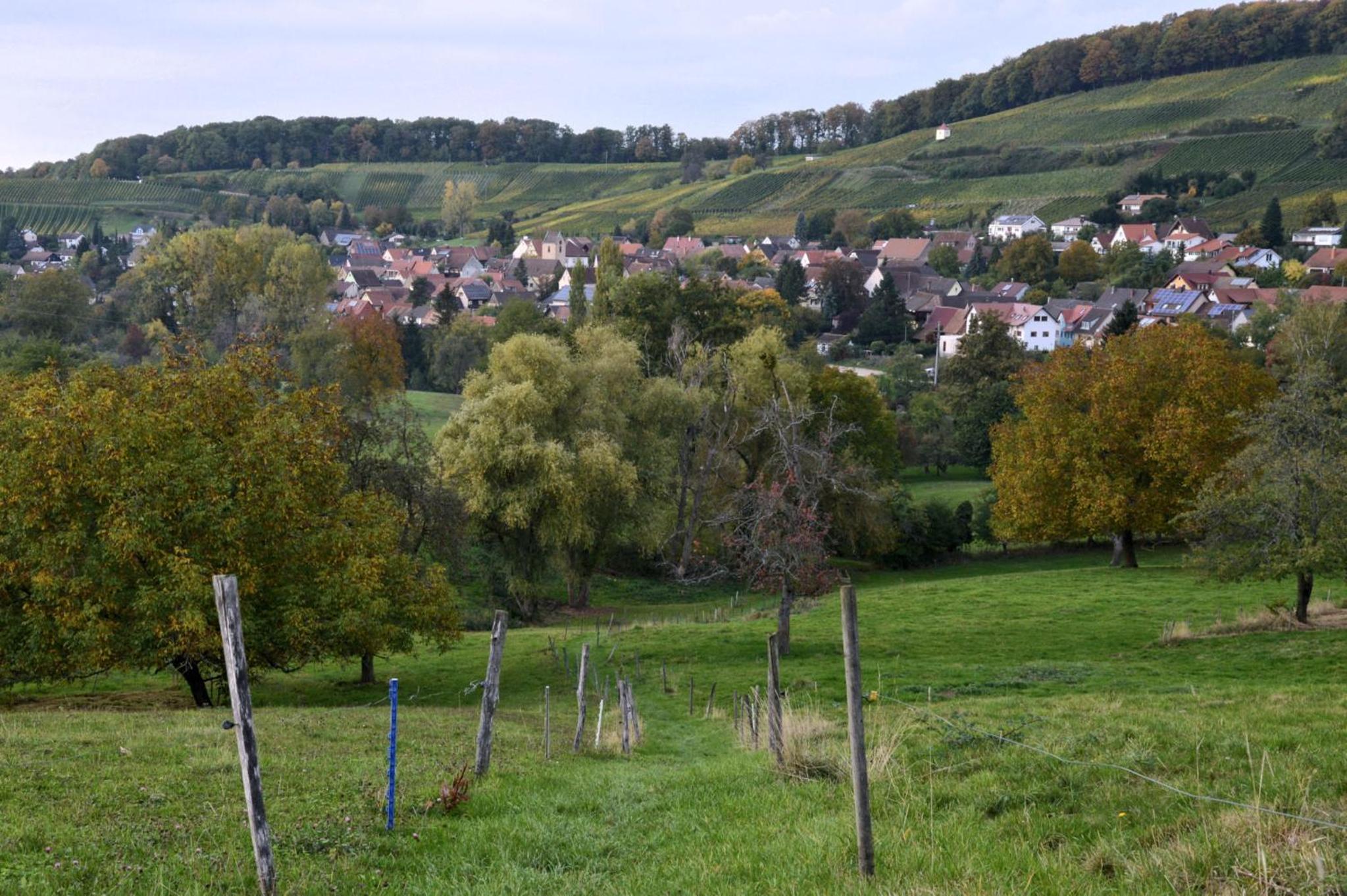 Am Paradies