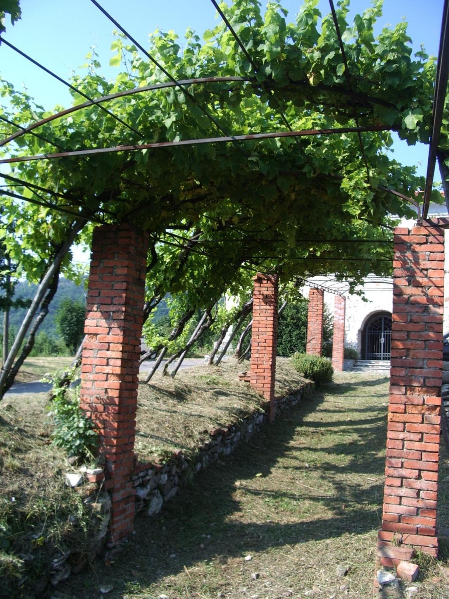 Photo 21