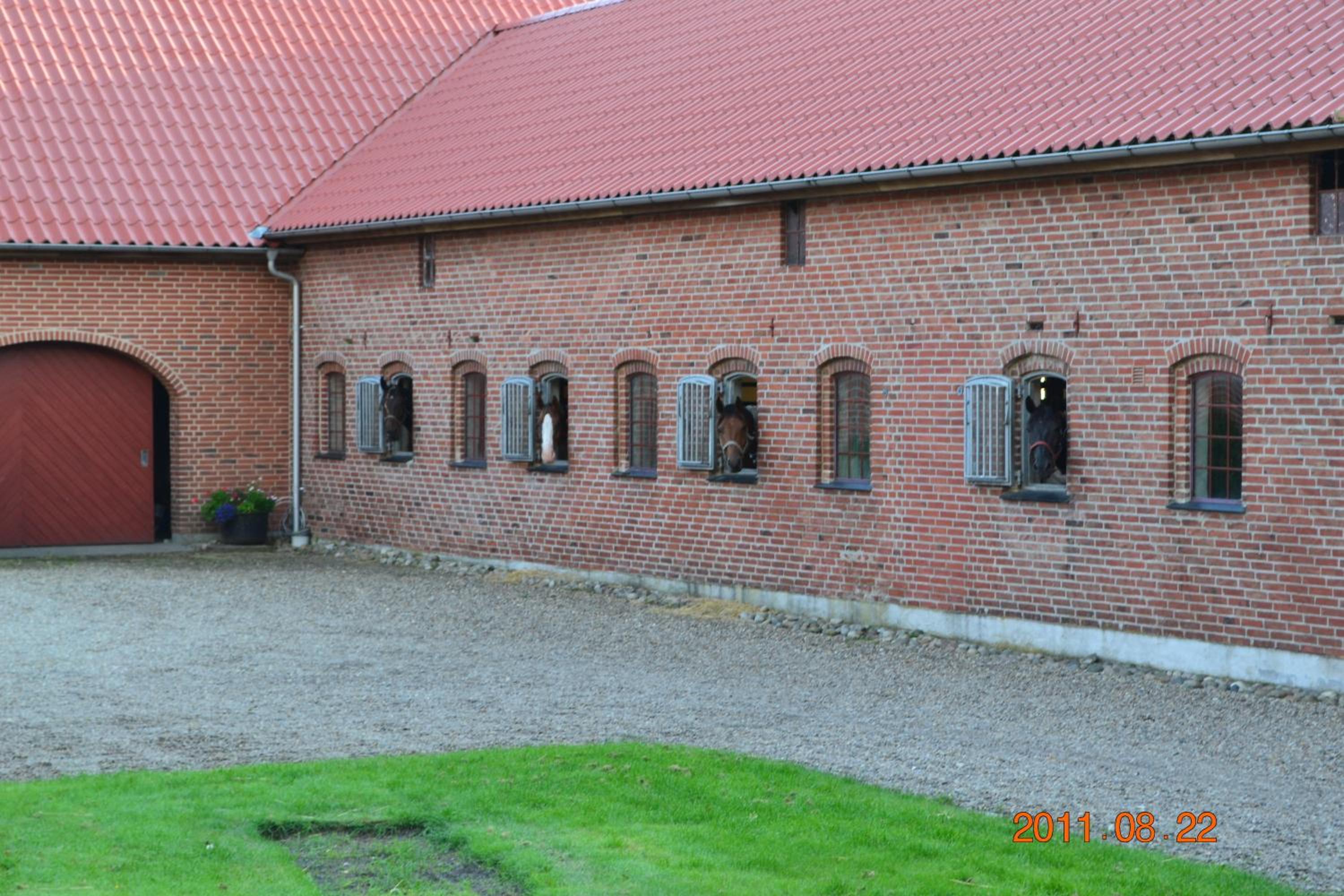 Photo 44