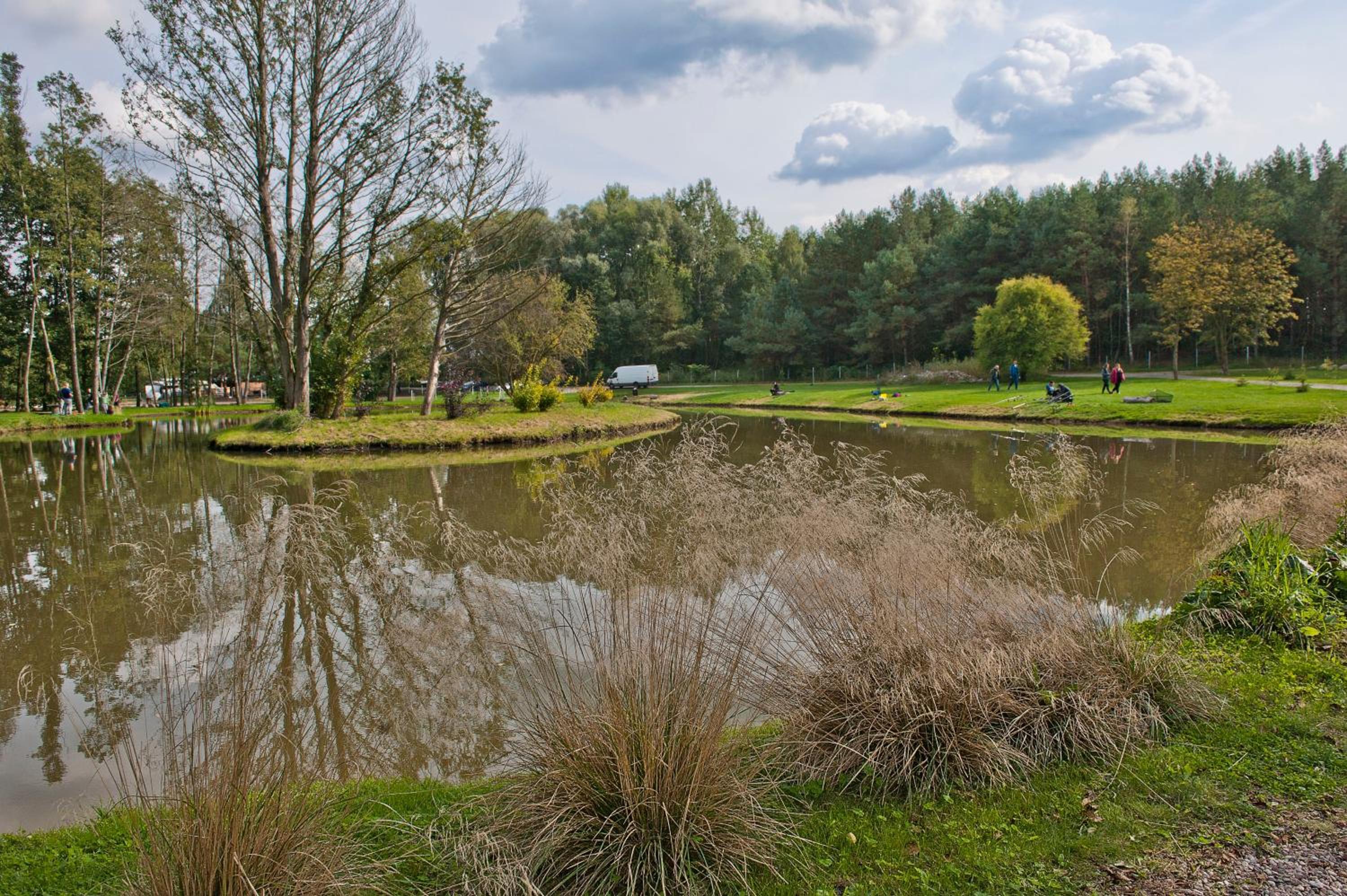 FORGLAMP, photo 40