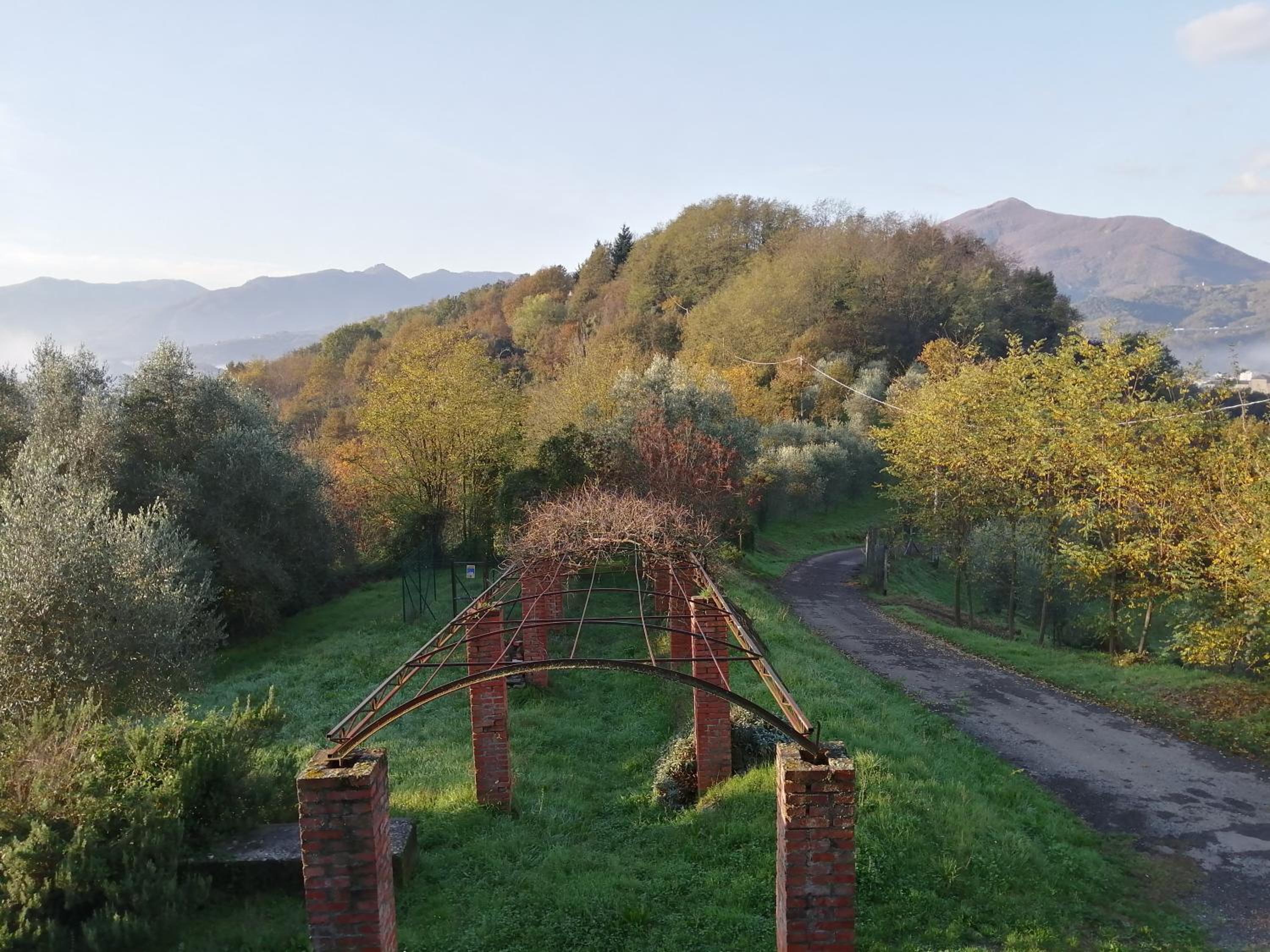 Az. Agr. IL PARADISO di Beatrice Bondielli view 5