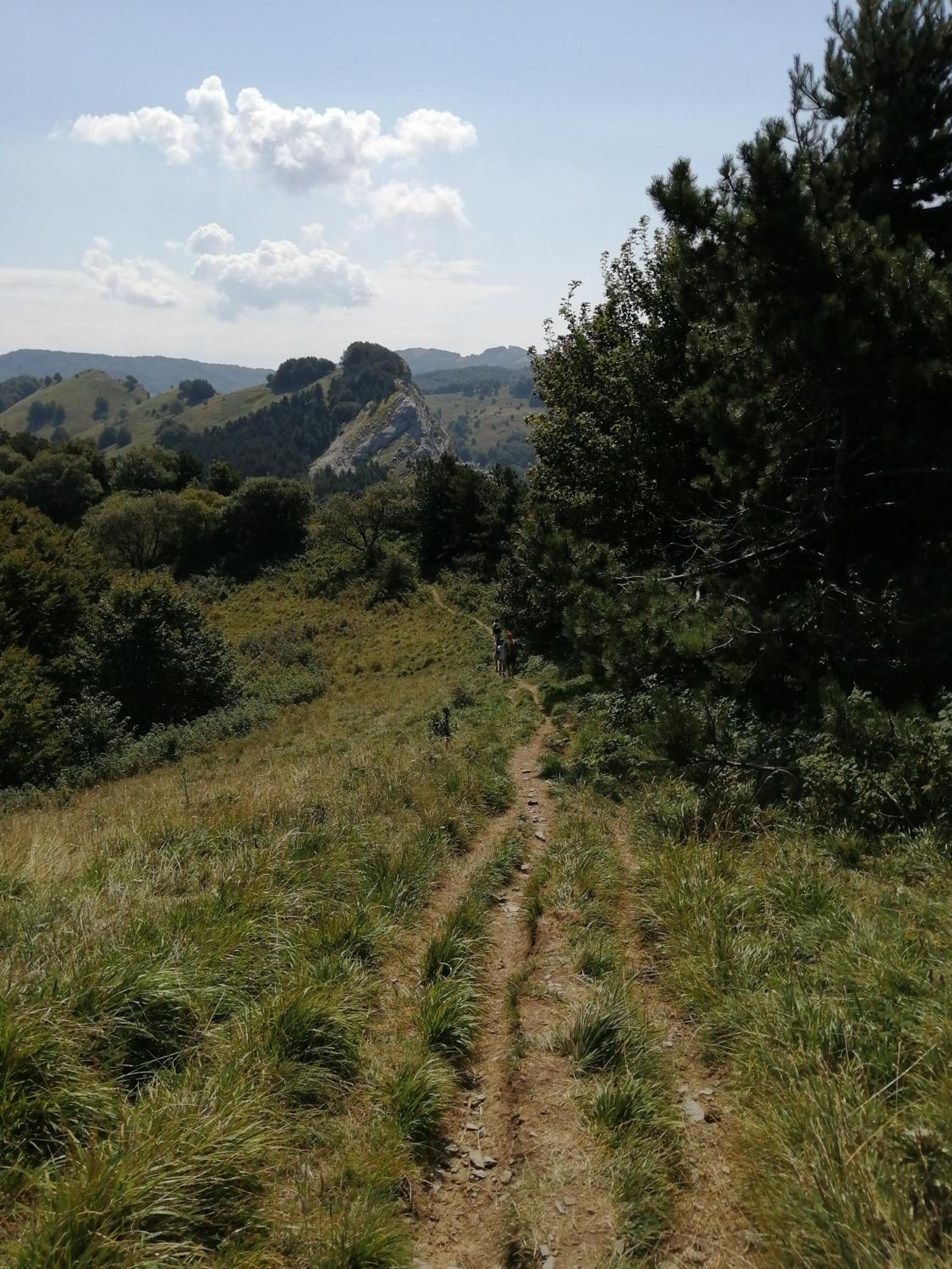 Az. Agr. IL PARADISO di Beatrice Bondielli view 3