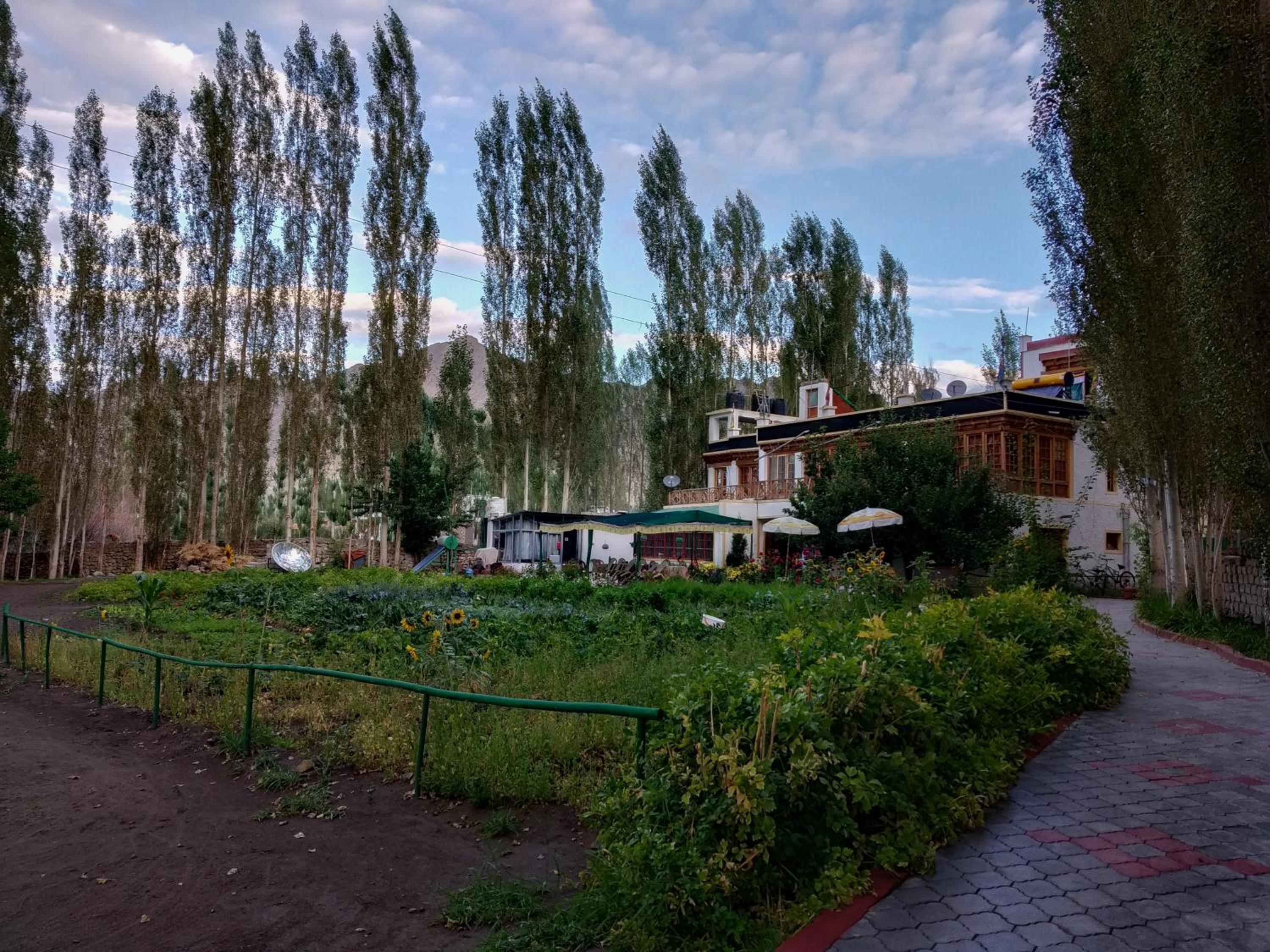 Photo 49