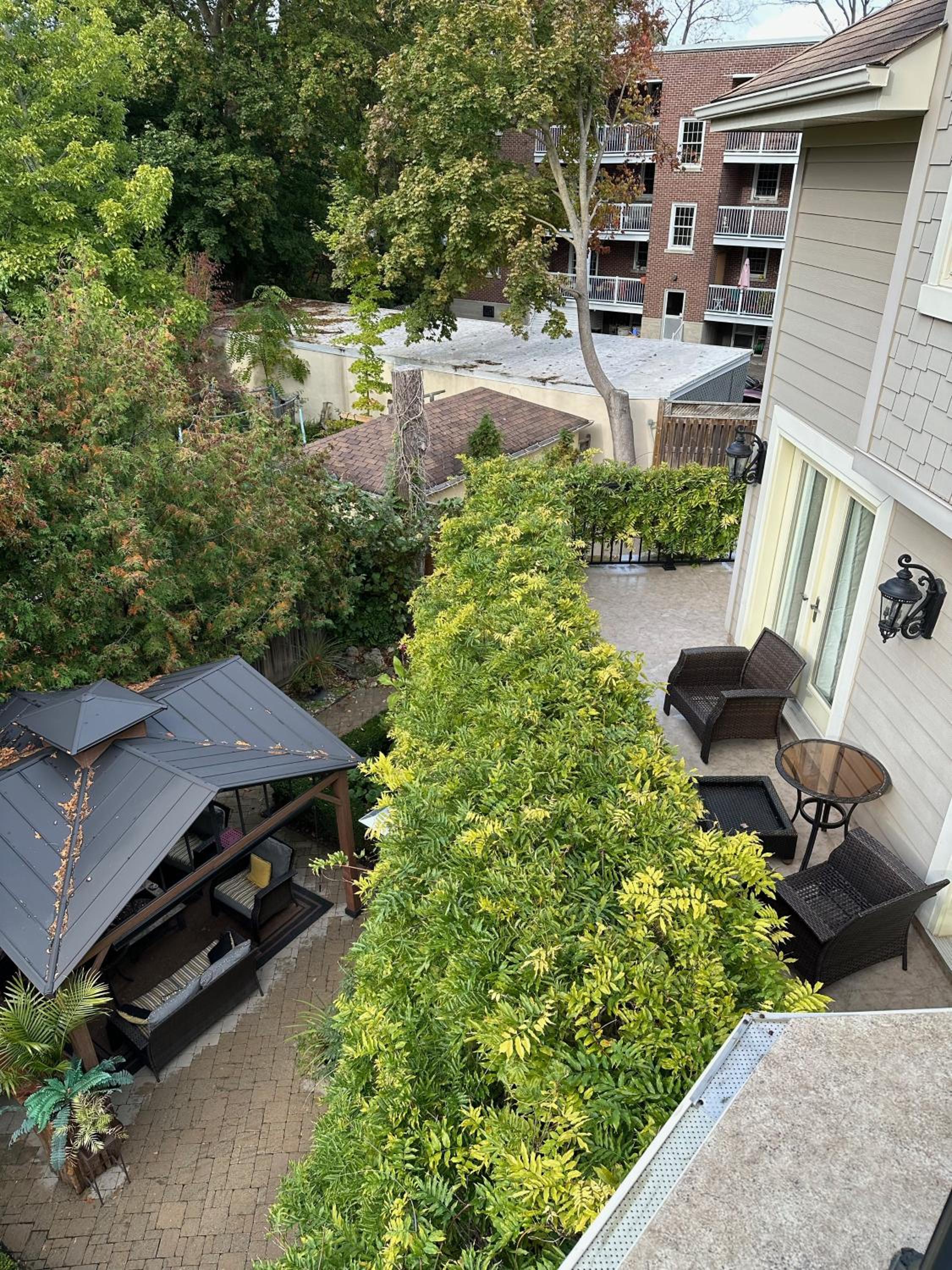 Norfolk Guest House Inn, photo 67