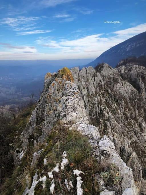 Photo 71