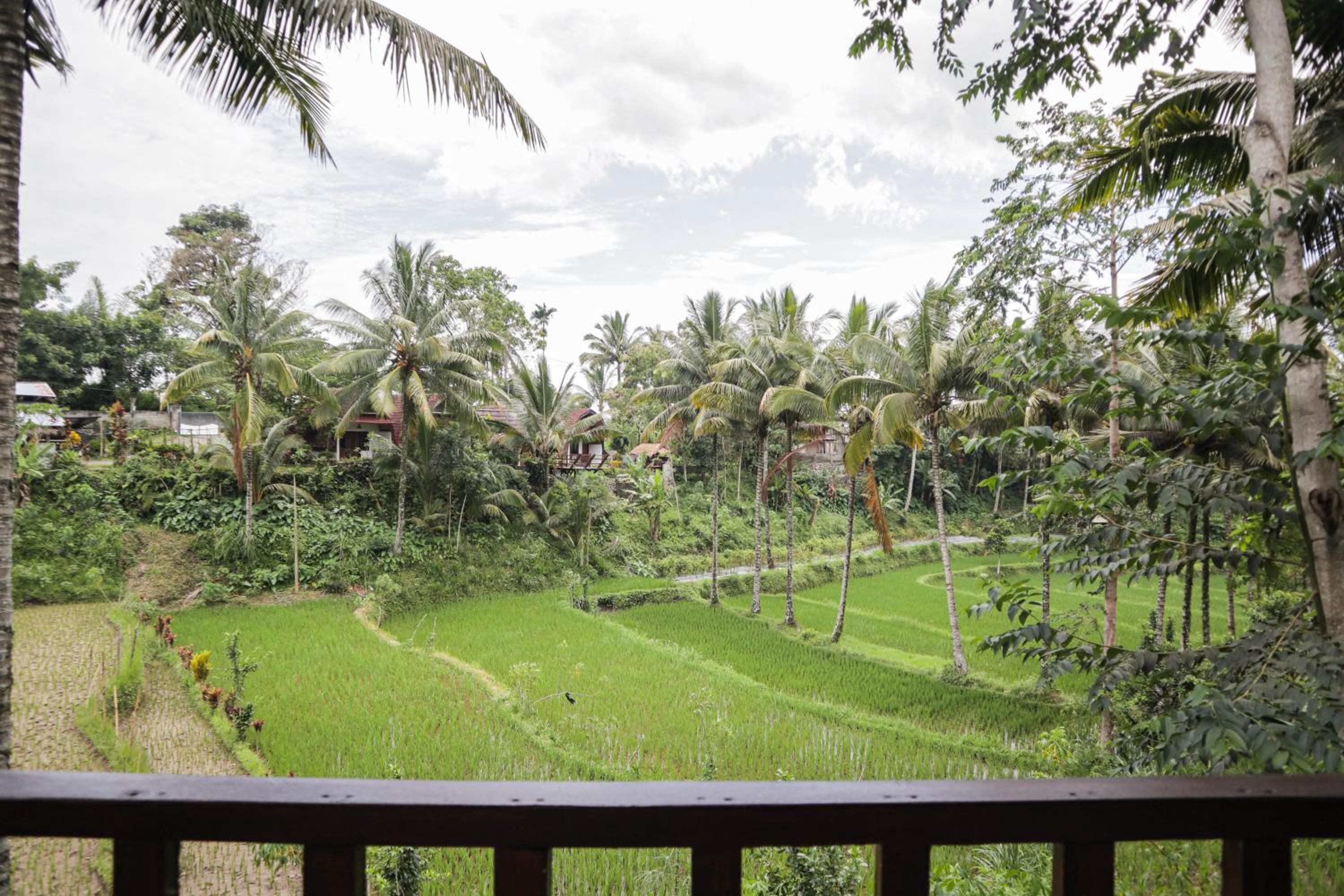 Nea Cottage Lombok
