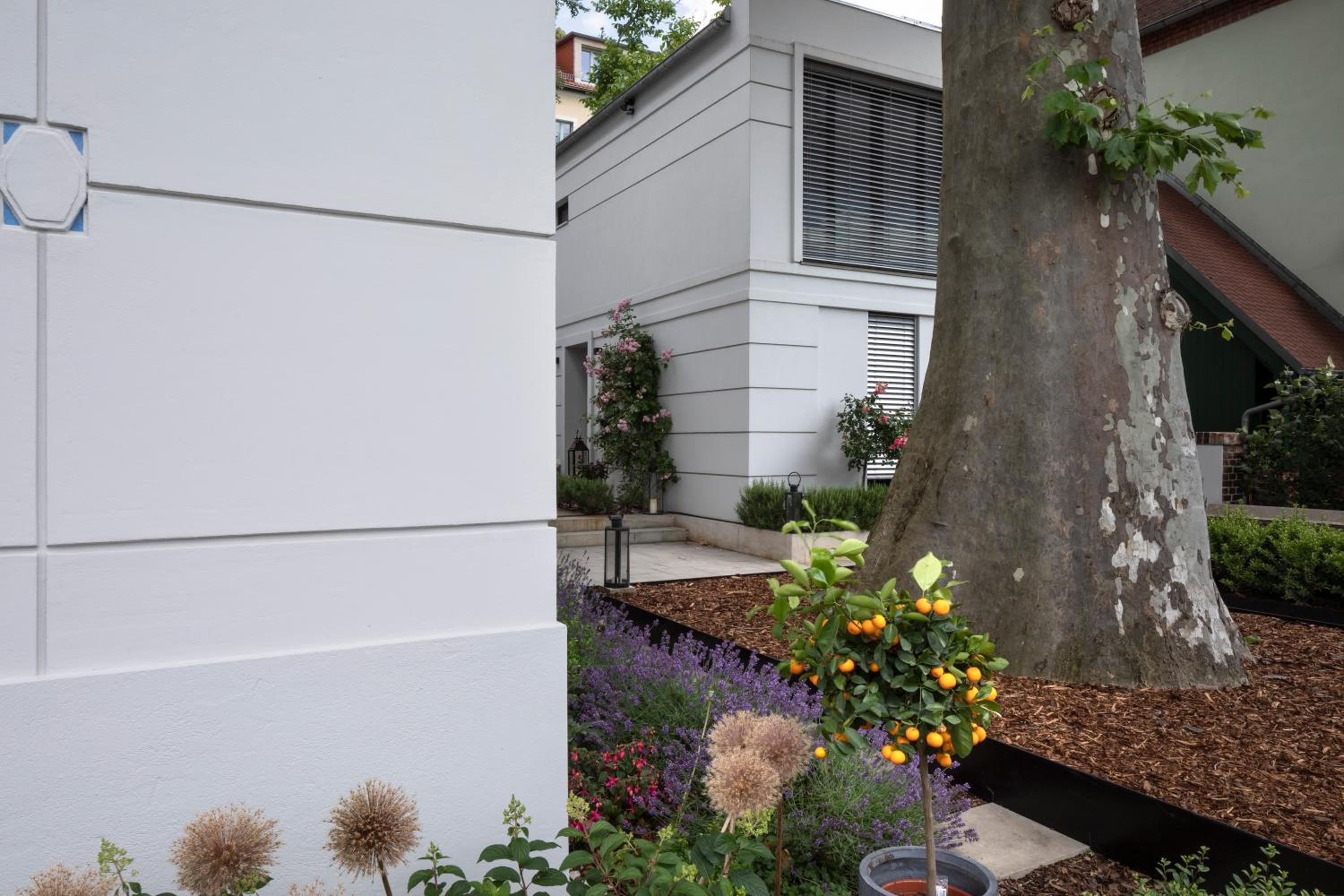 Dresden Vacations - Atelierhaus in Dresden Loschwitz - Property Image 12