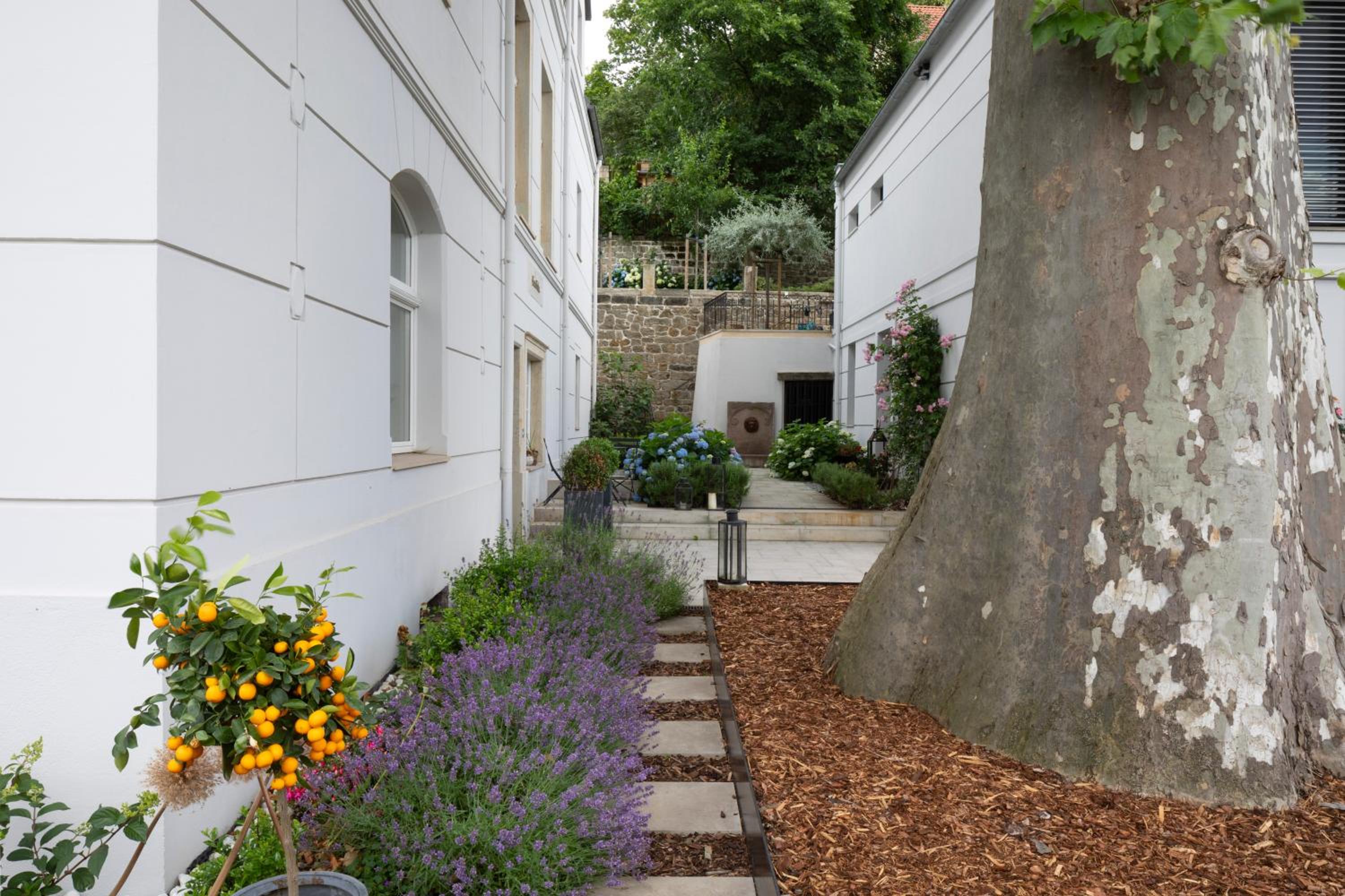 Dresden Vacations - Atelierhaus in Dresden Loschwitz - Property Image 11