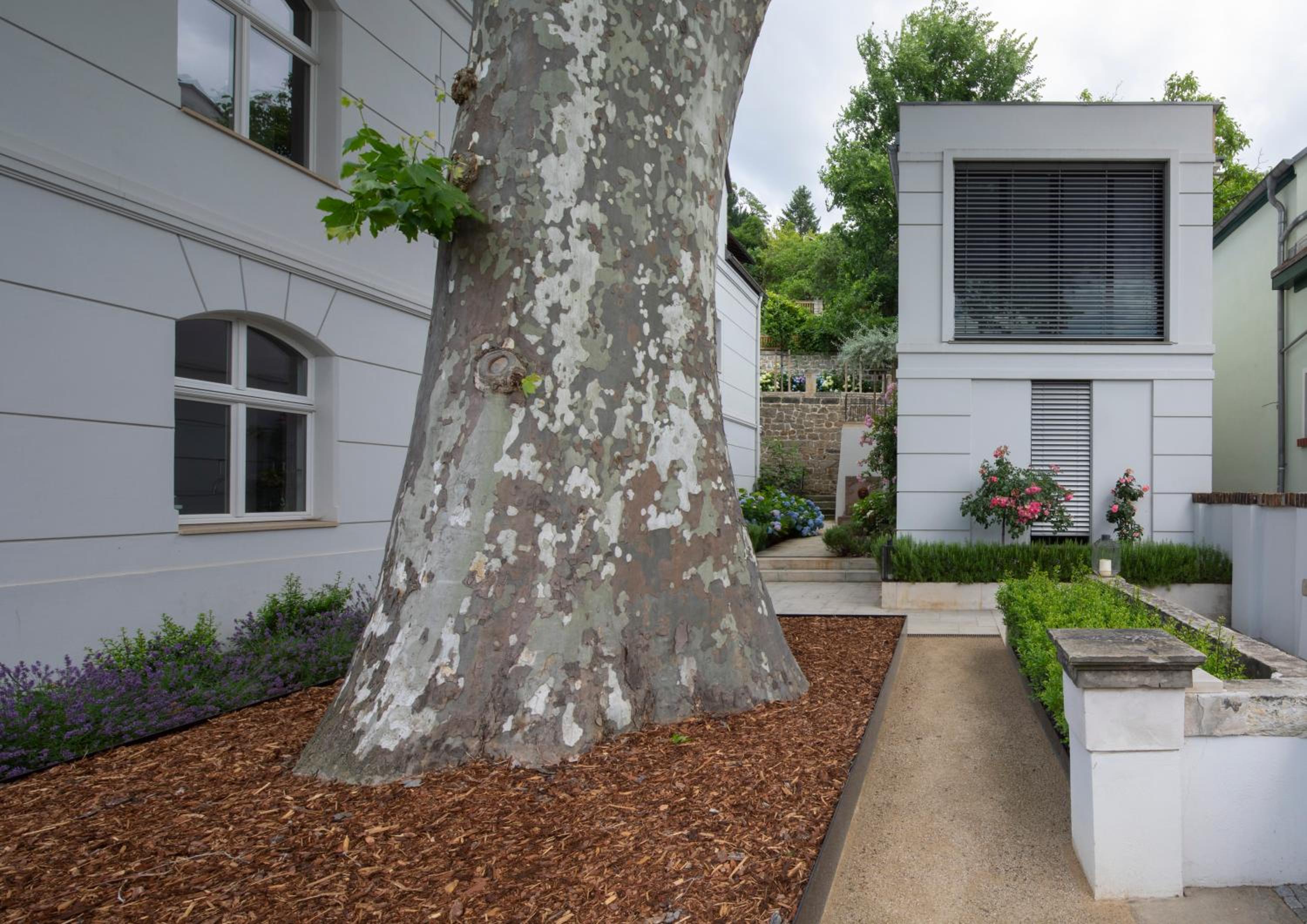 Dresden Vacations - Atelierhaus in Dresden Loschwitz - Property Image 10