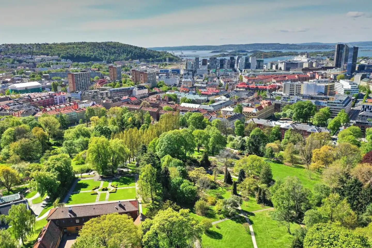Flott leilighet i hjerte av Oslo