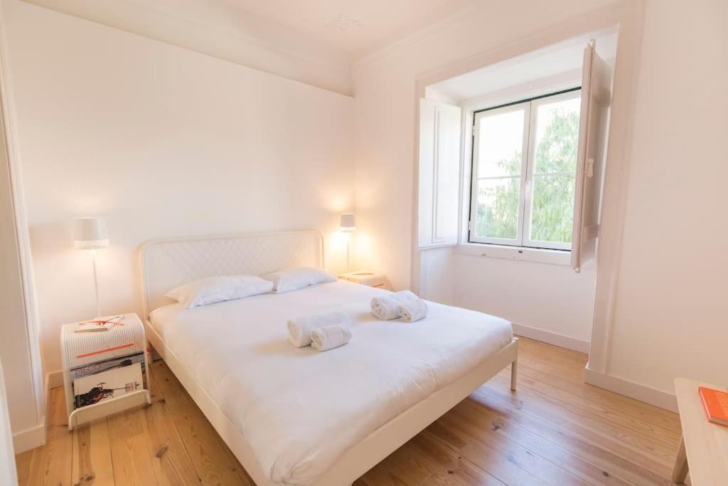 Historical Apartment Santos III