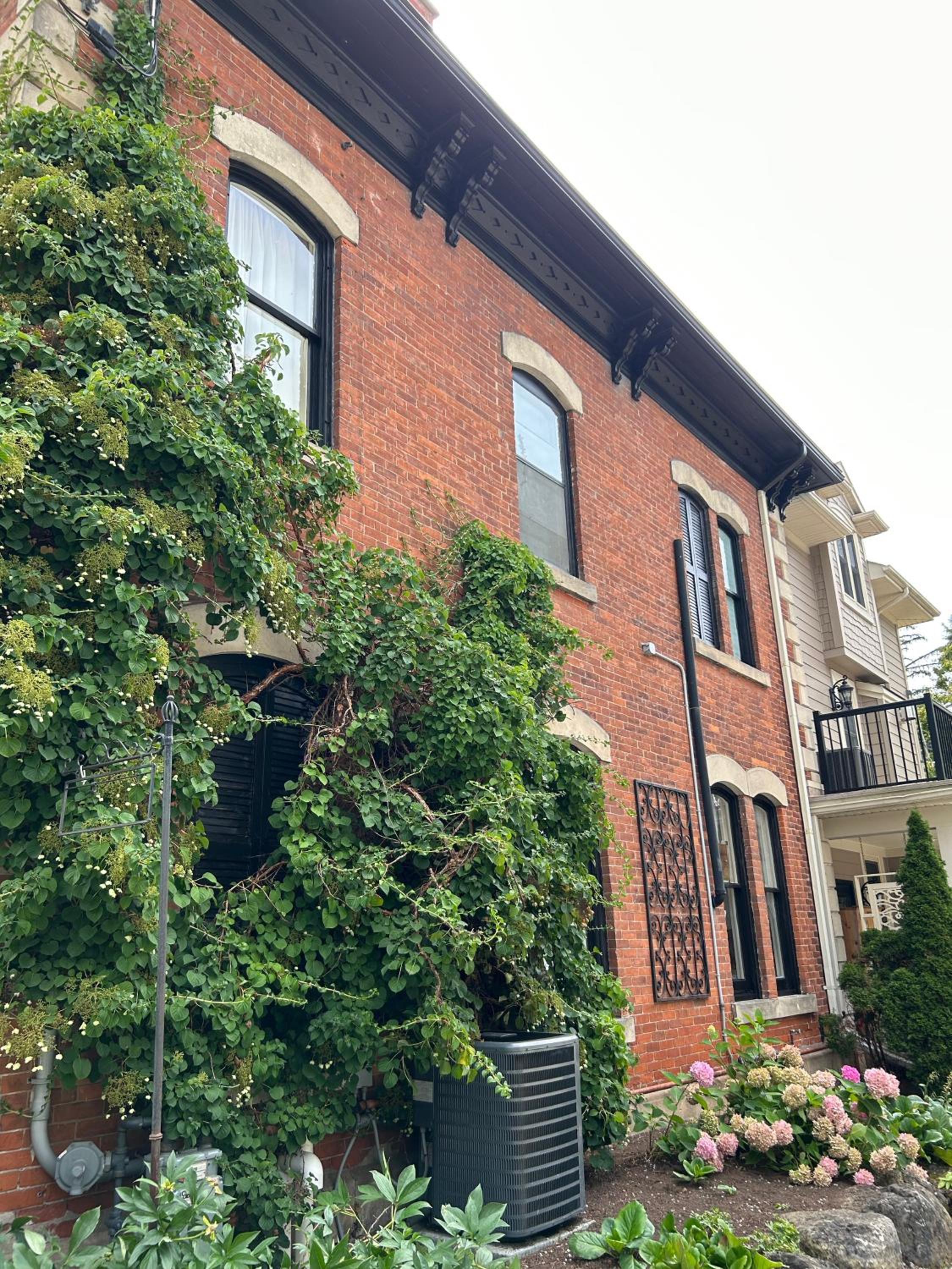 Norfolk Guest House Inn, photo 93