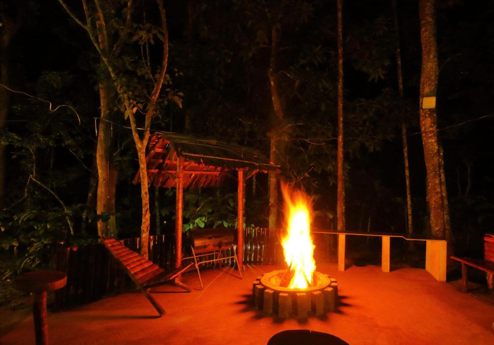 TreeSong Villa - Tranquil Forest Villa in Wayanad view 3