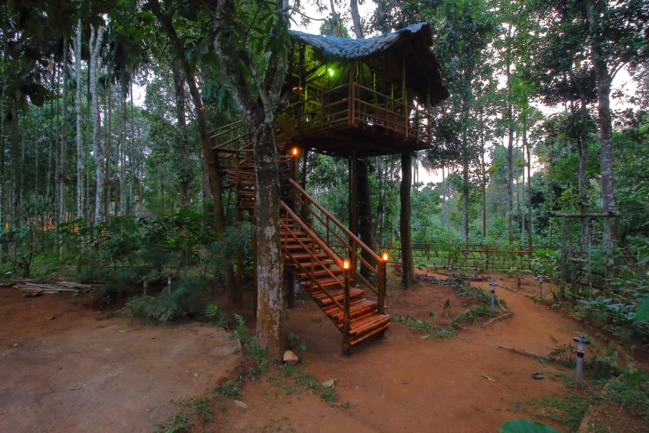 TreeSong Villa - Tranquil Forest Villa in Wayanad view 2