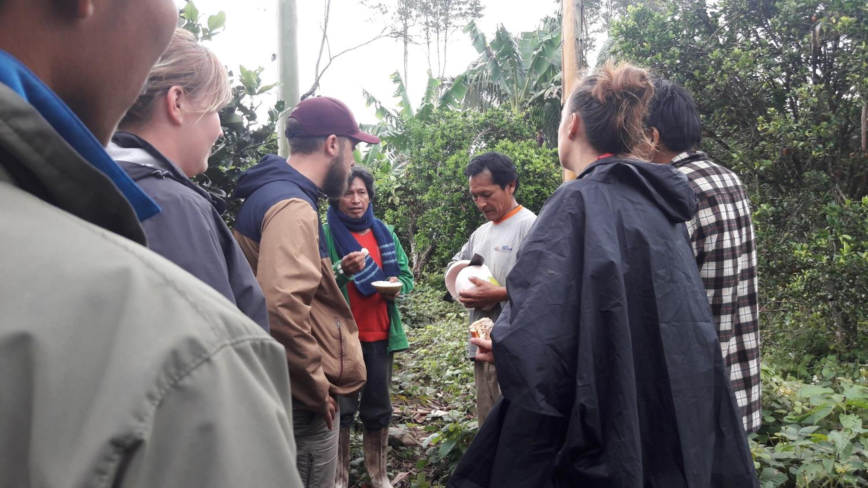 Homestay Oropendola tambopata