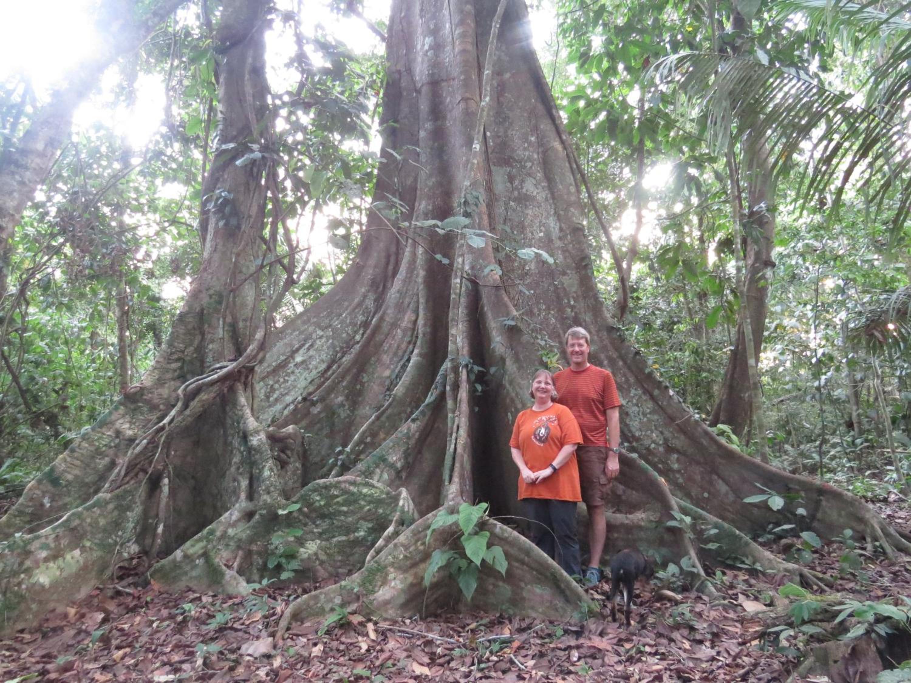 Homestay Oropendola tambopata