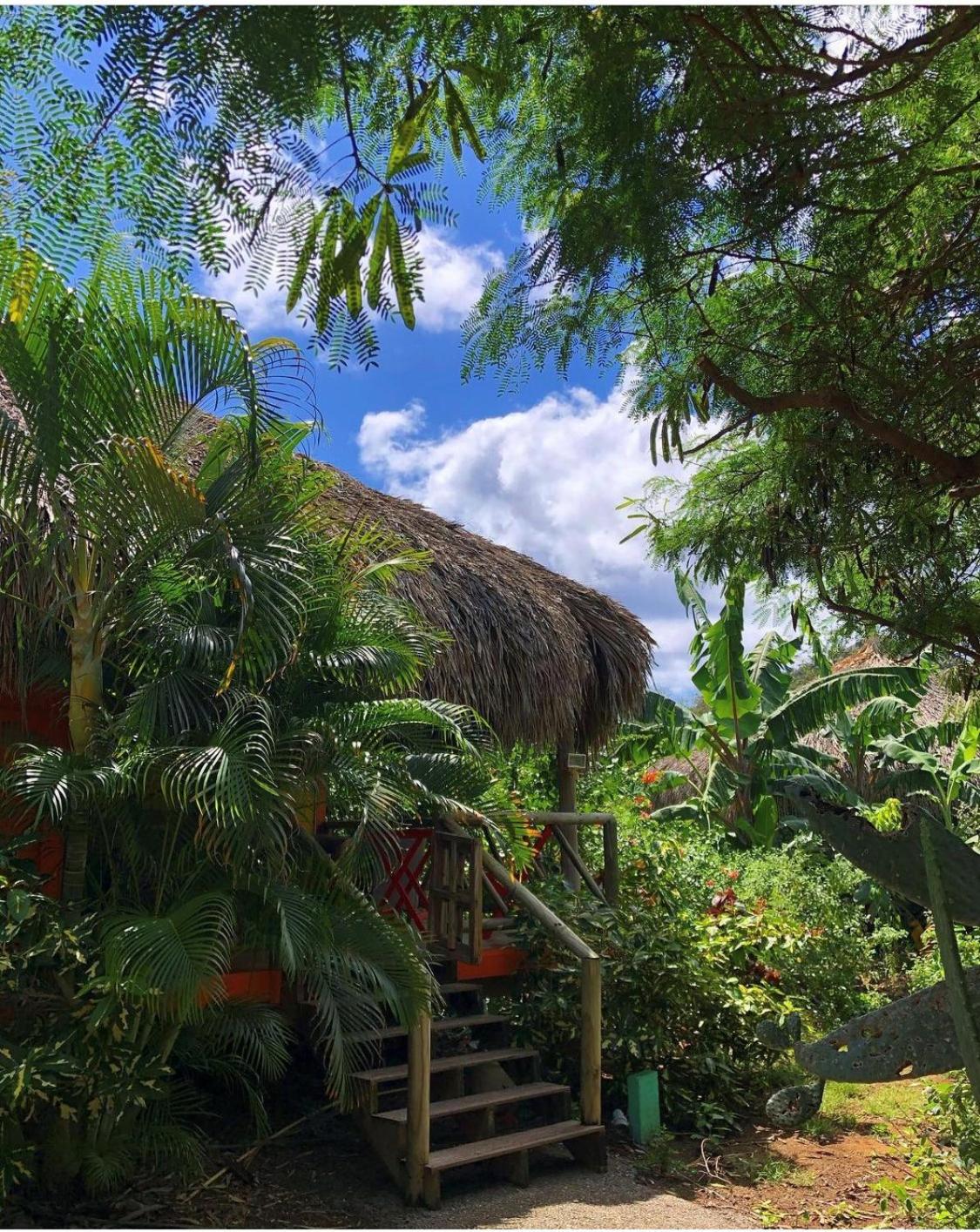 Mondi Lodge
