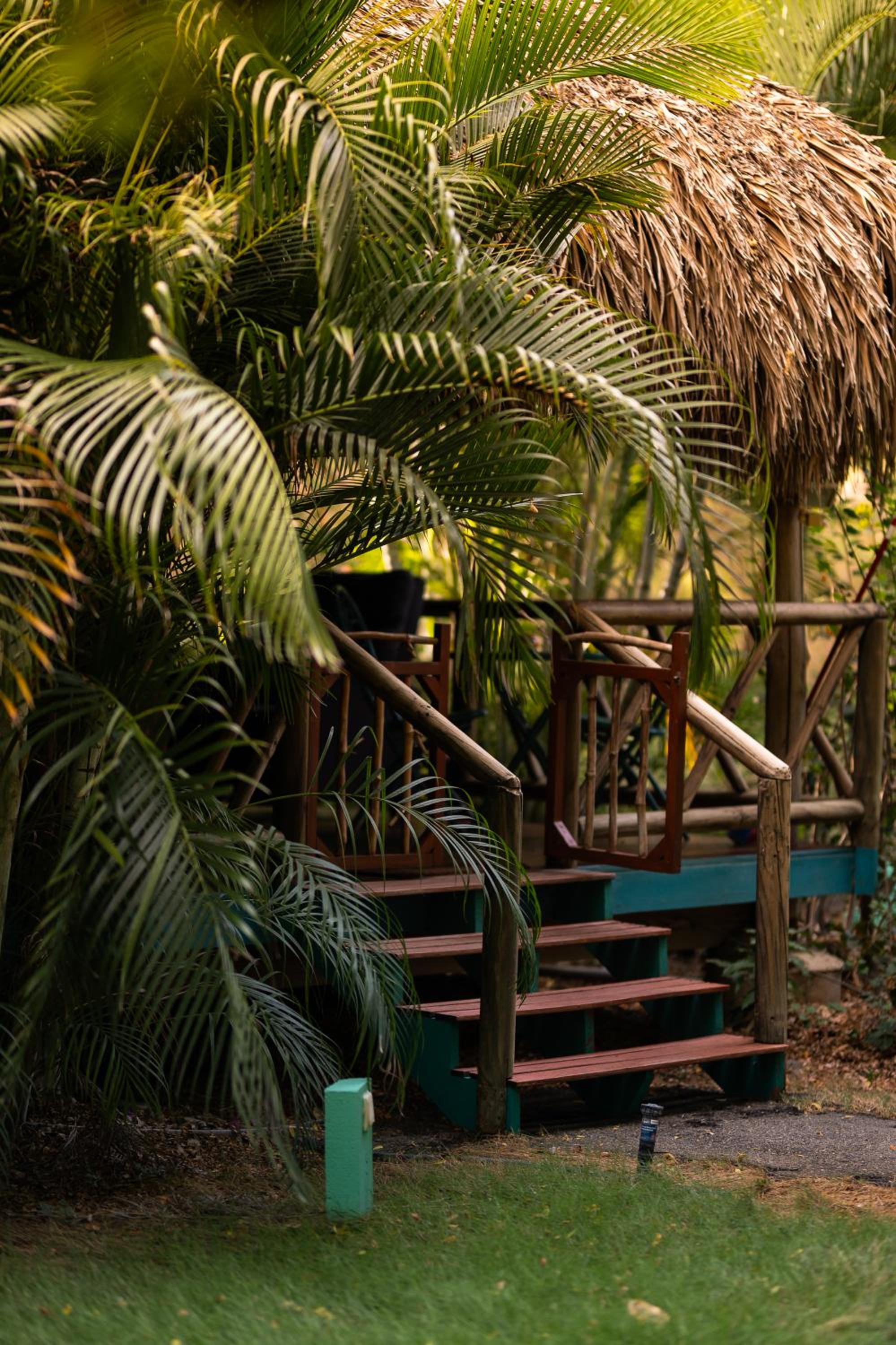 Mondi Lodge