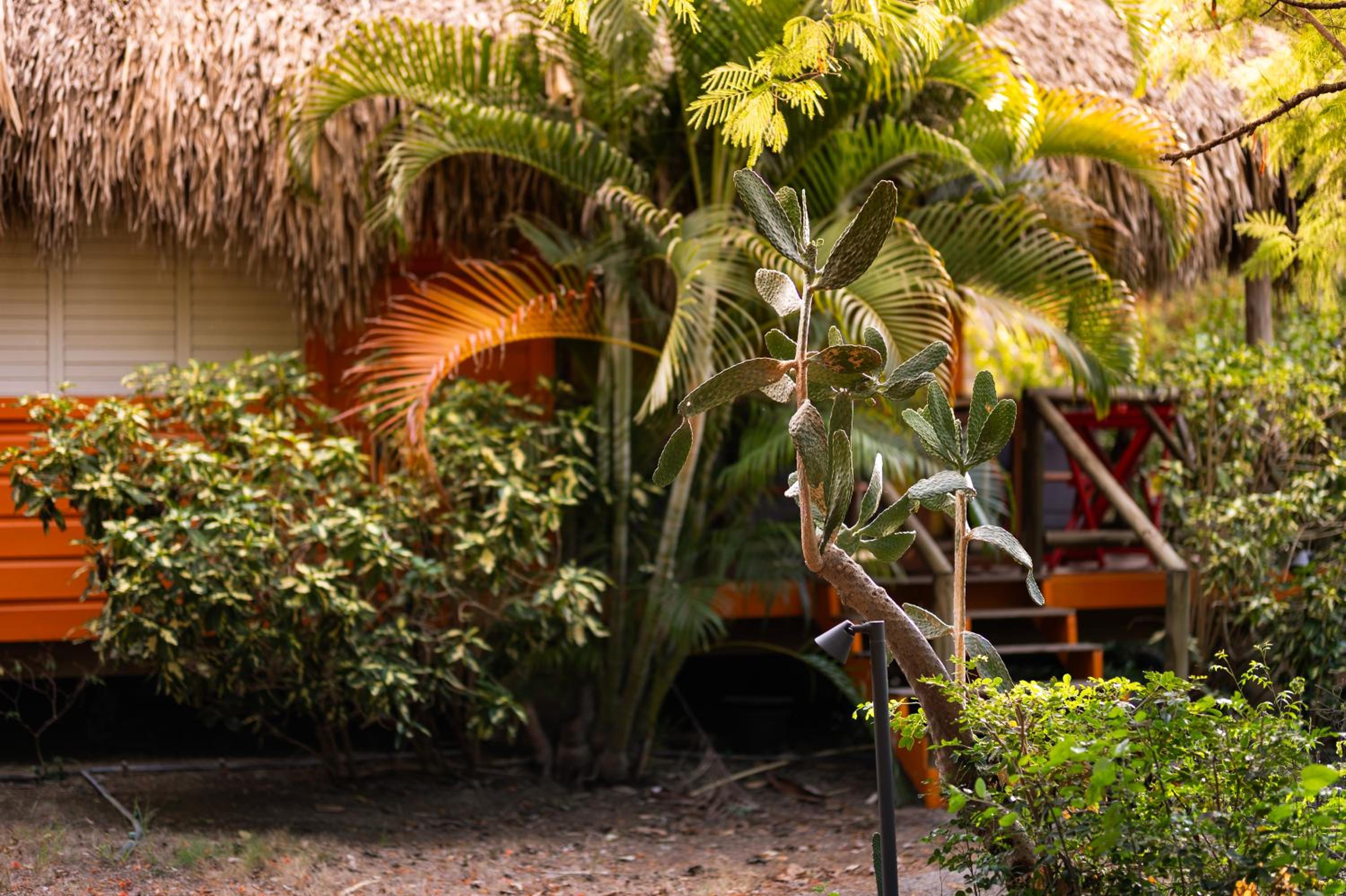 Mondi Lodge