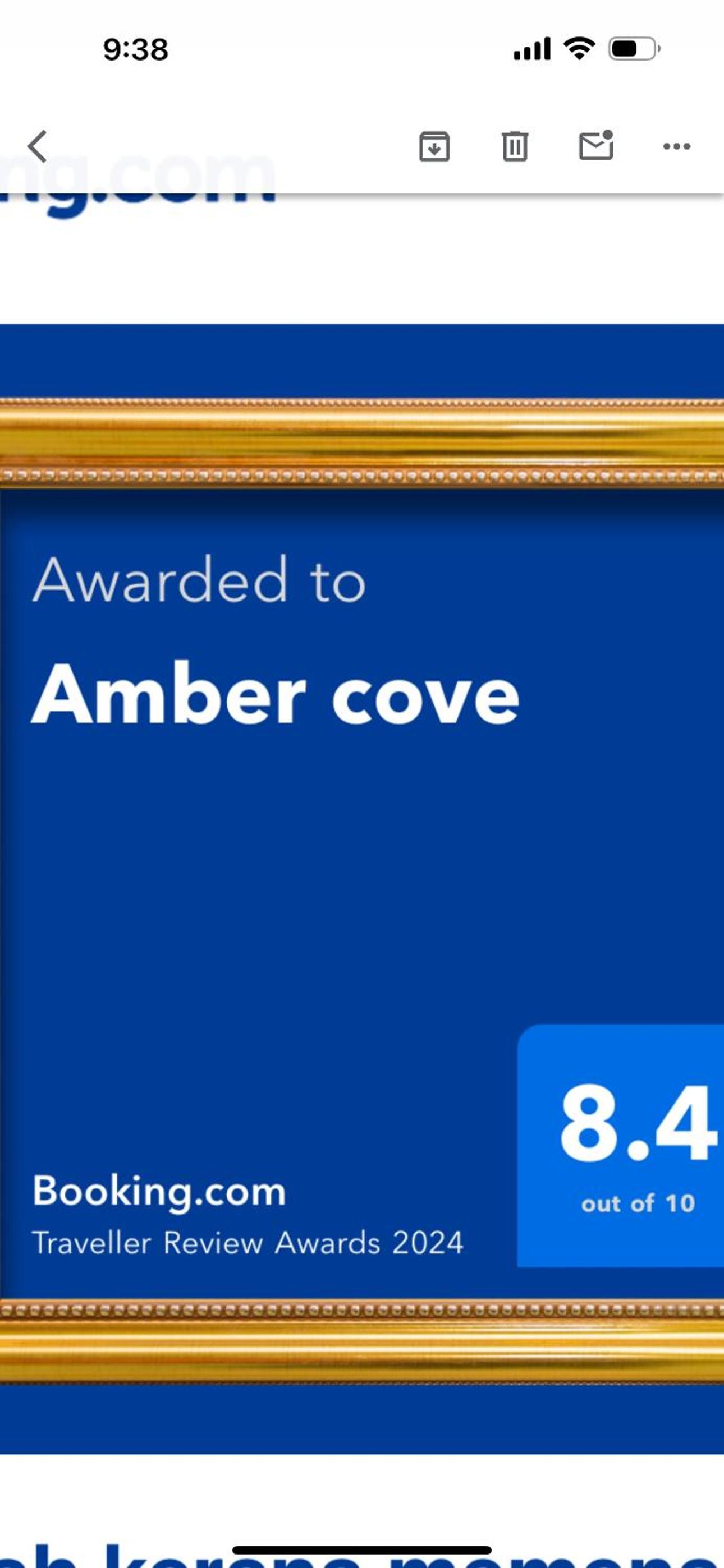 Amber cove