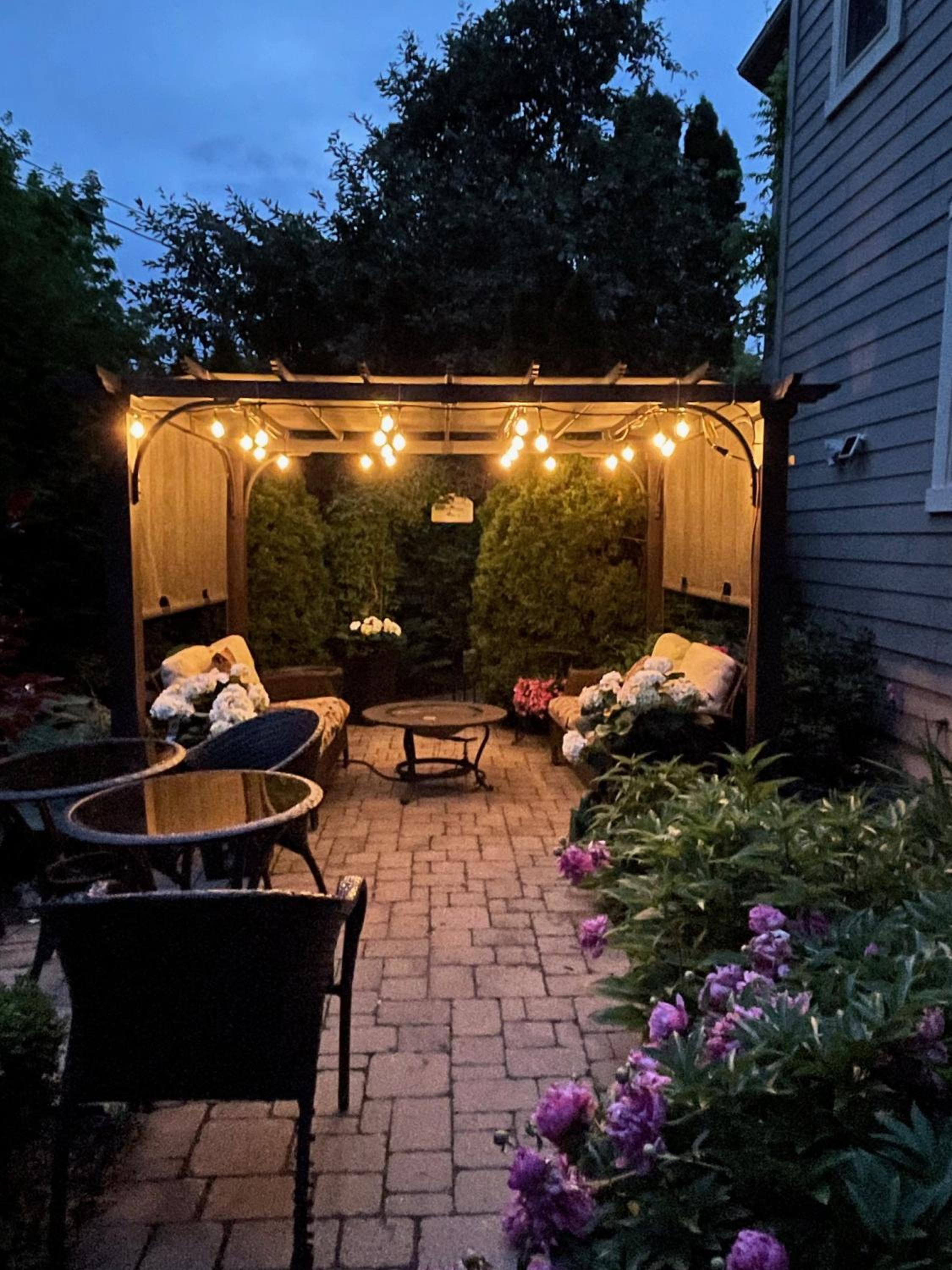 Norfolk Guest House Inn, photo 115