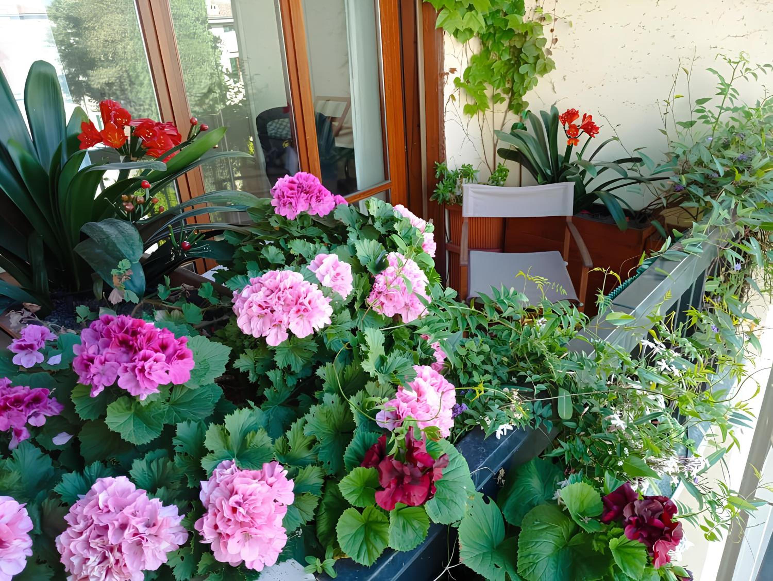 La casa dei fiori