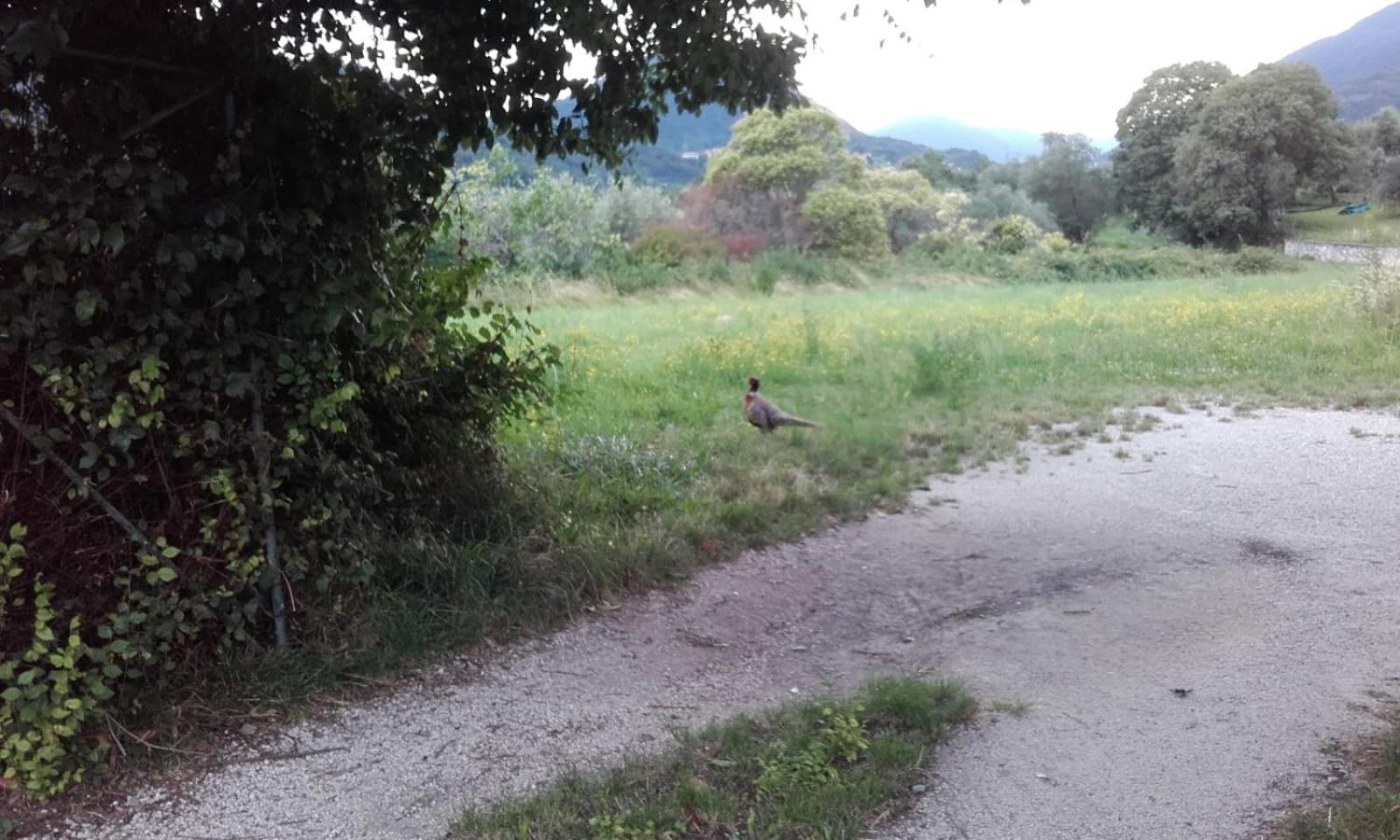 Oasi di pace e natura