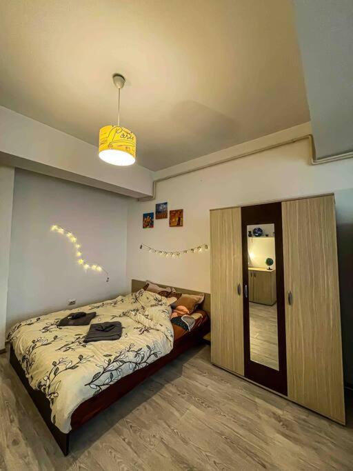 Cazare Iasi Palas Apartment view 5