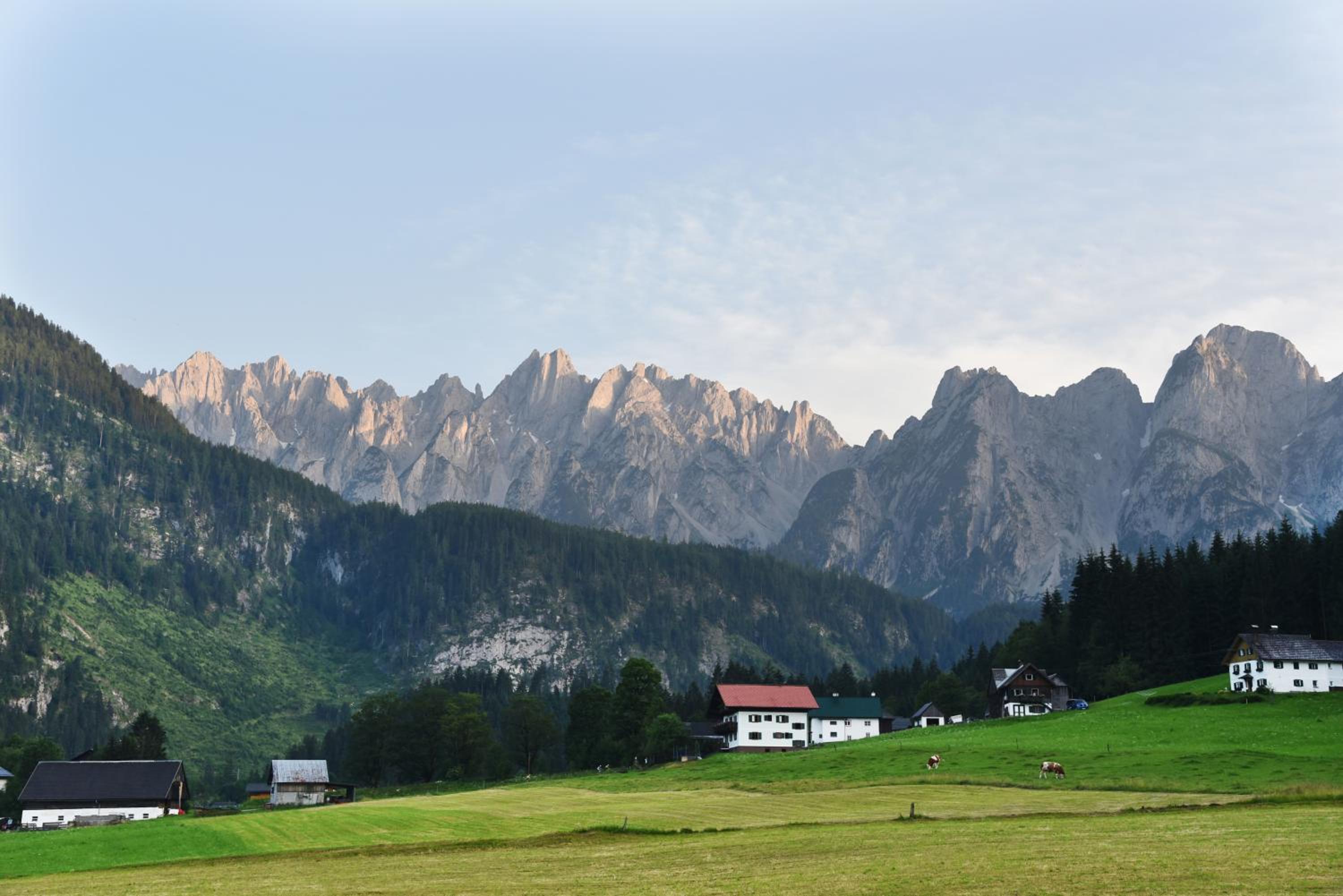 Frühstückspension Pachler