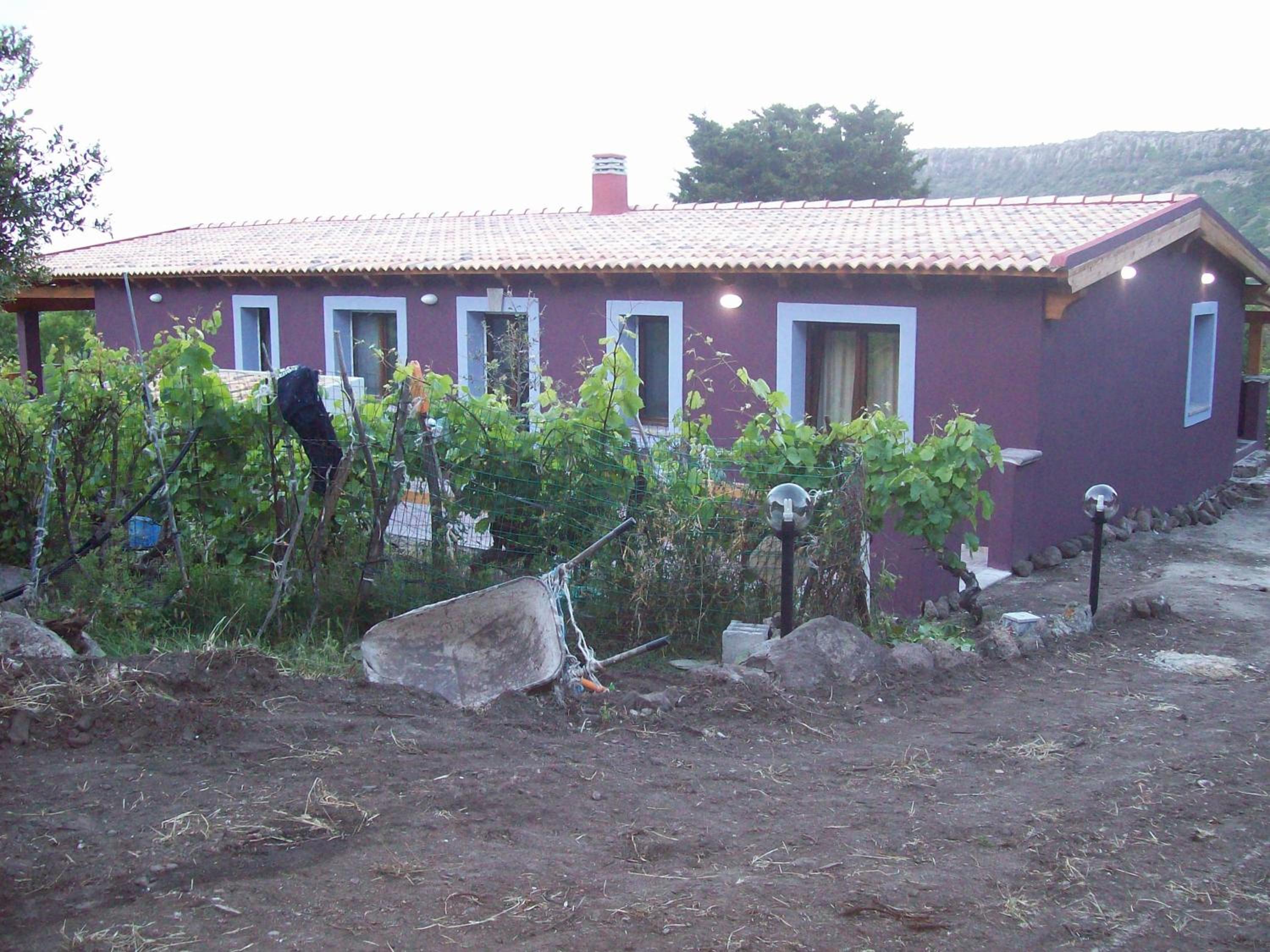 Photo 8