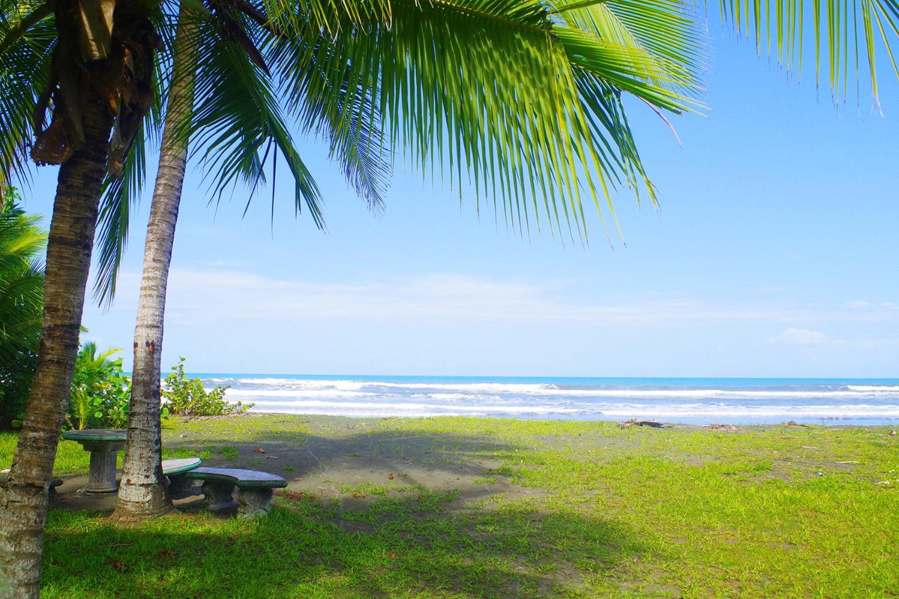 Casa Caribbean Coconut