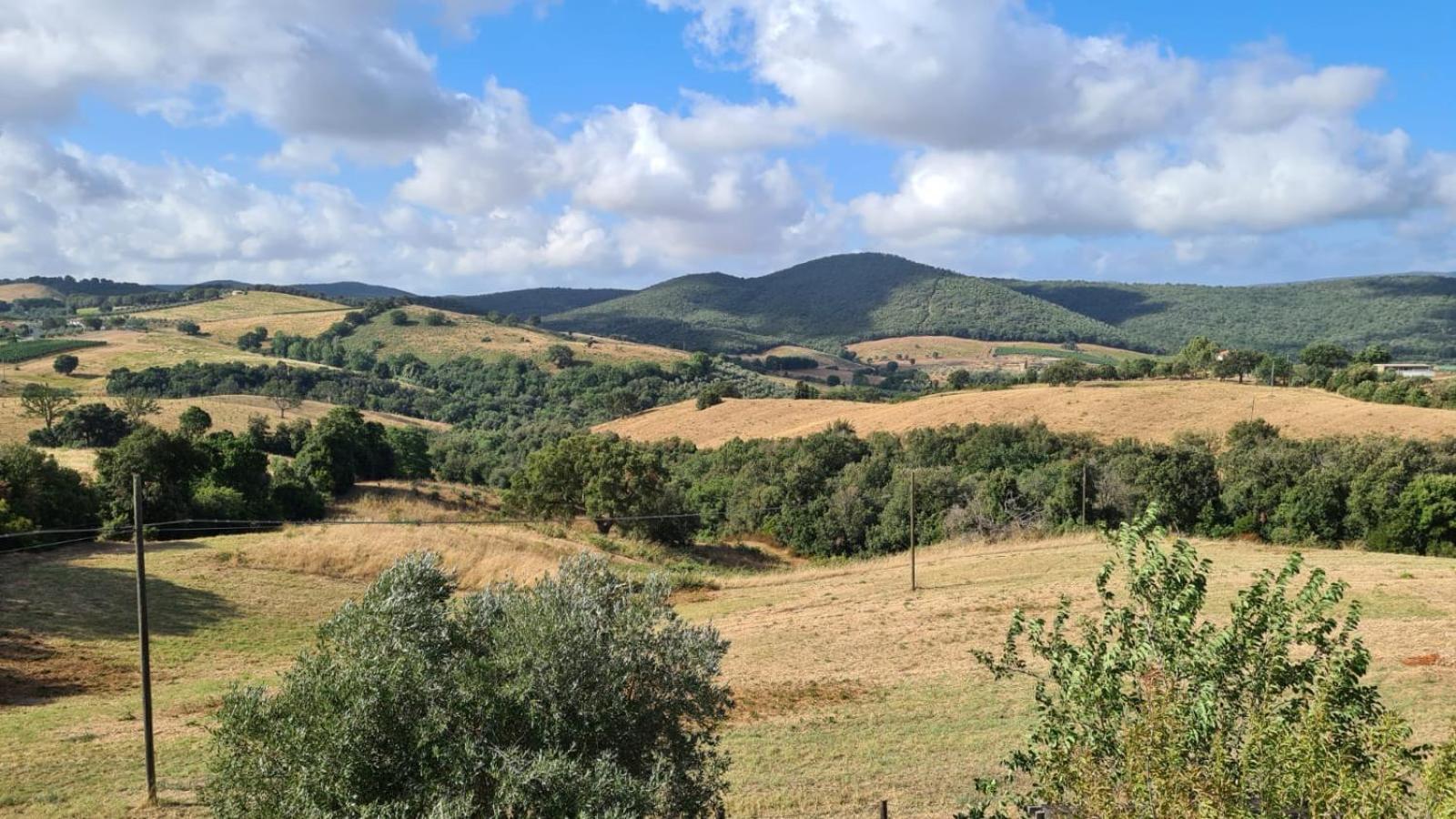 Assiolo
