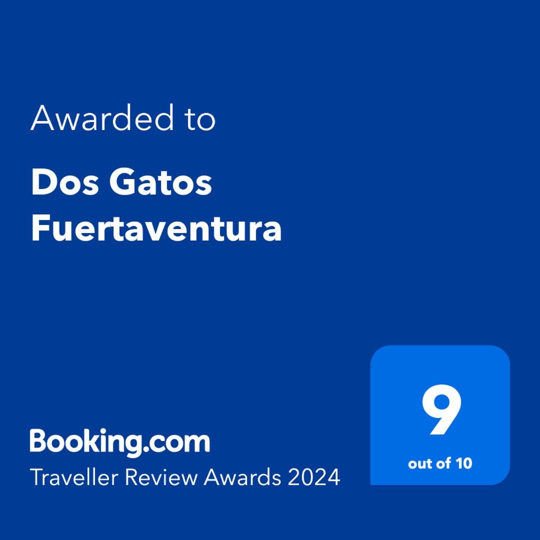 Dos Gatos Fuertaventura