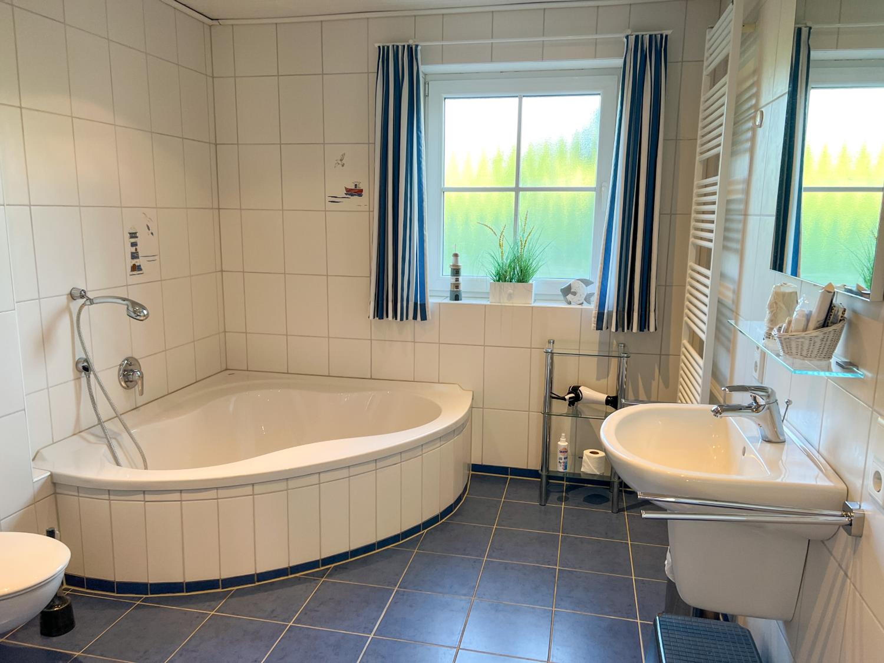 Heringsmöwe