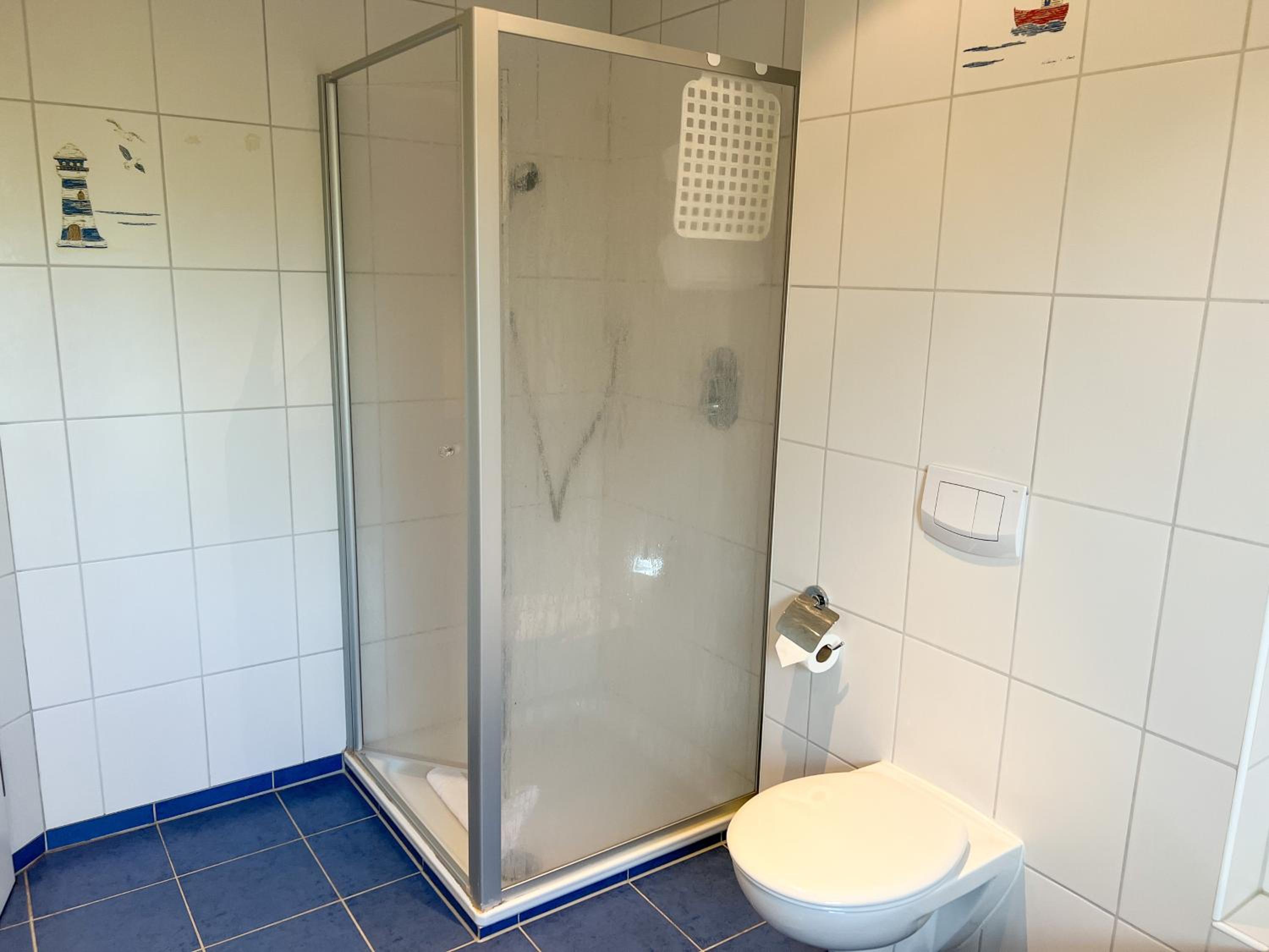 Heringsmöwe