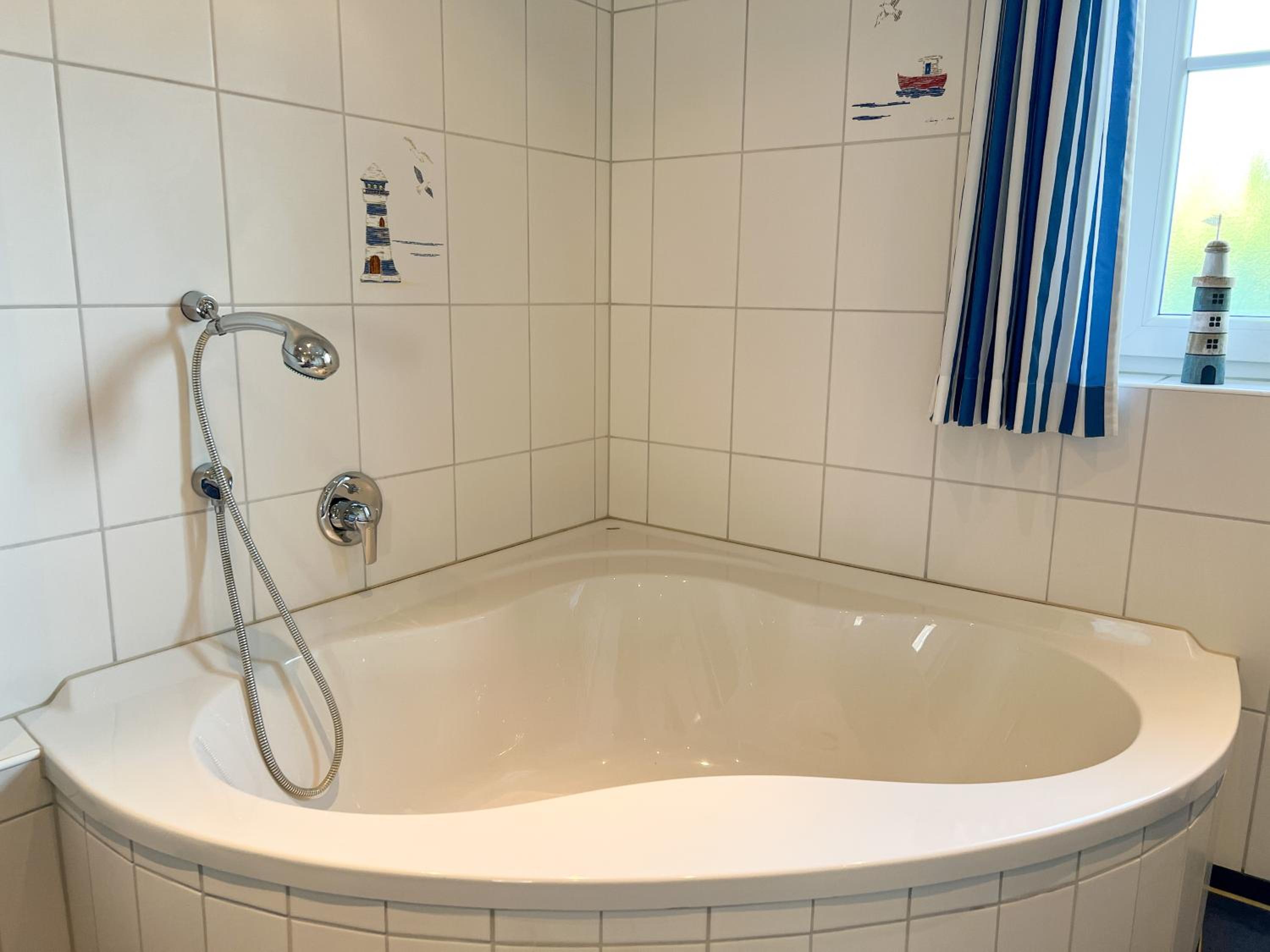 Heringsmöwe