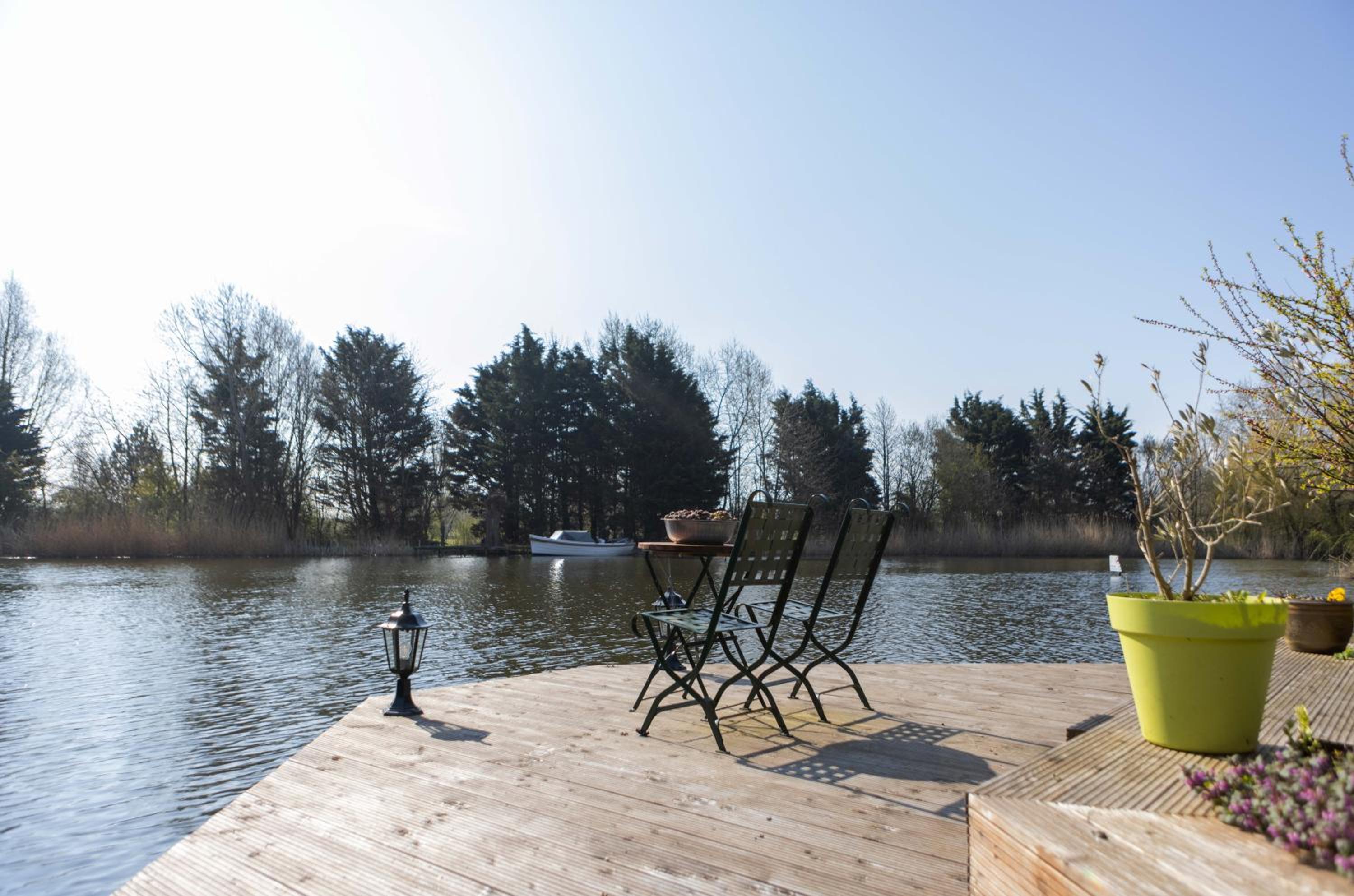Vegan B&B De Groene Mus view 5
