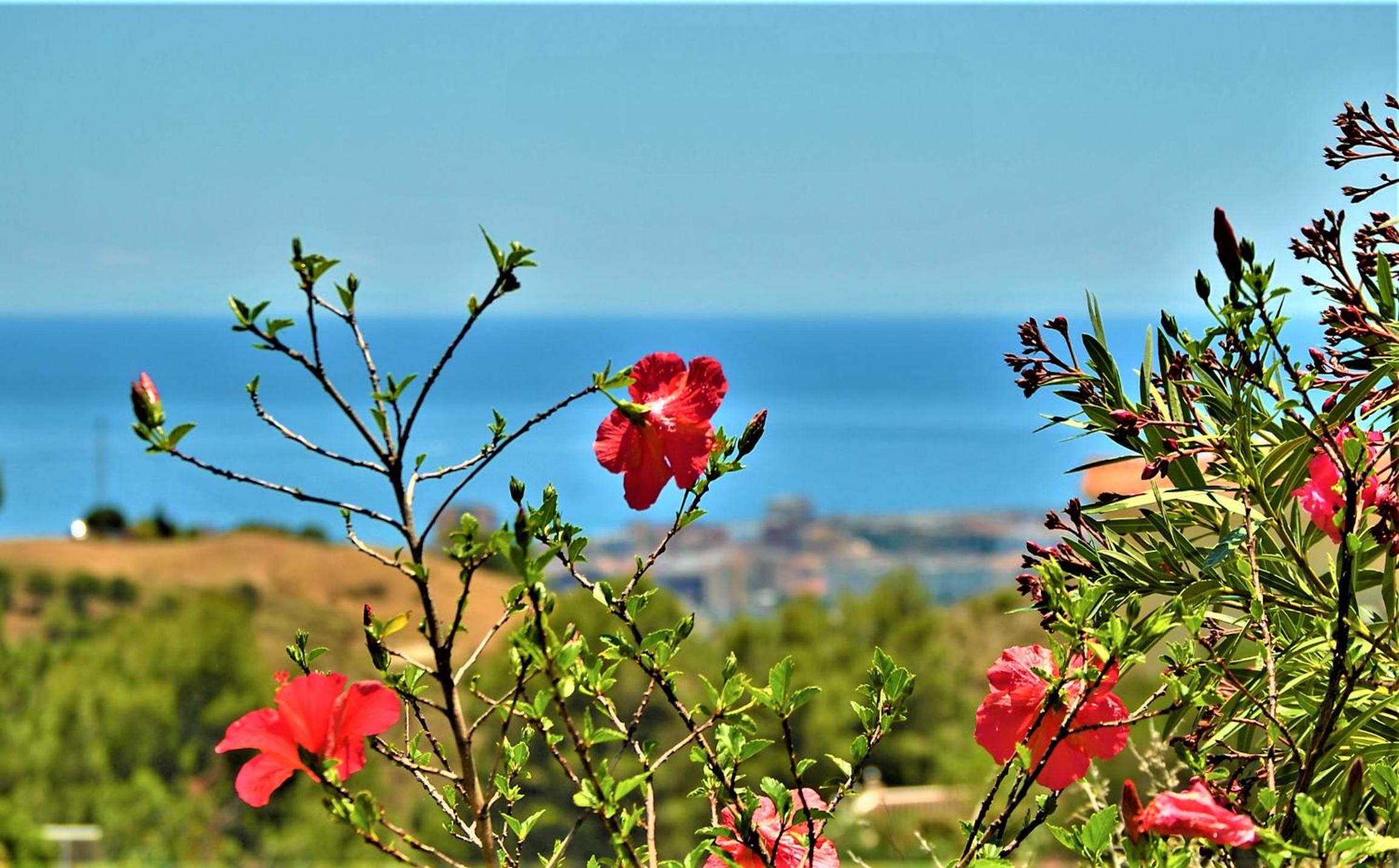Holiday villa in 10 min from Fuengirola beach with sea views pool BBQ parking WiFi aircon big garden view 5