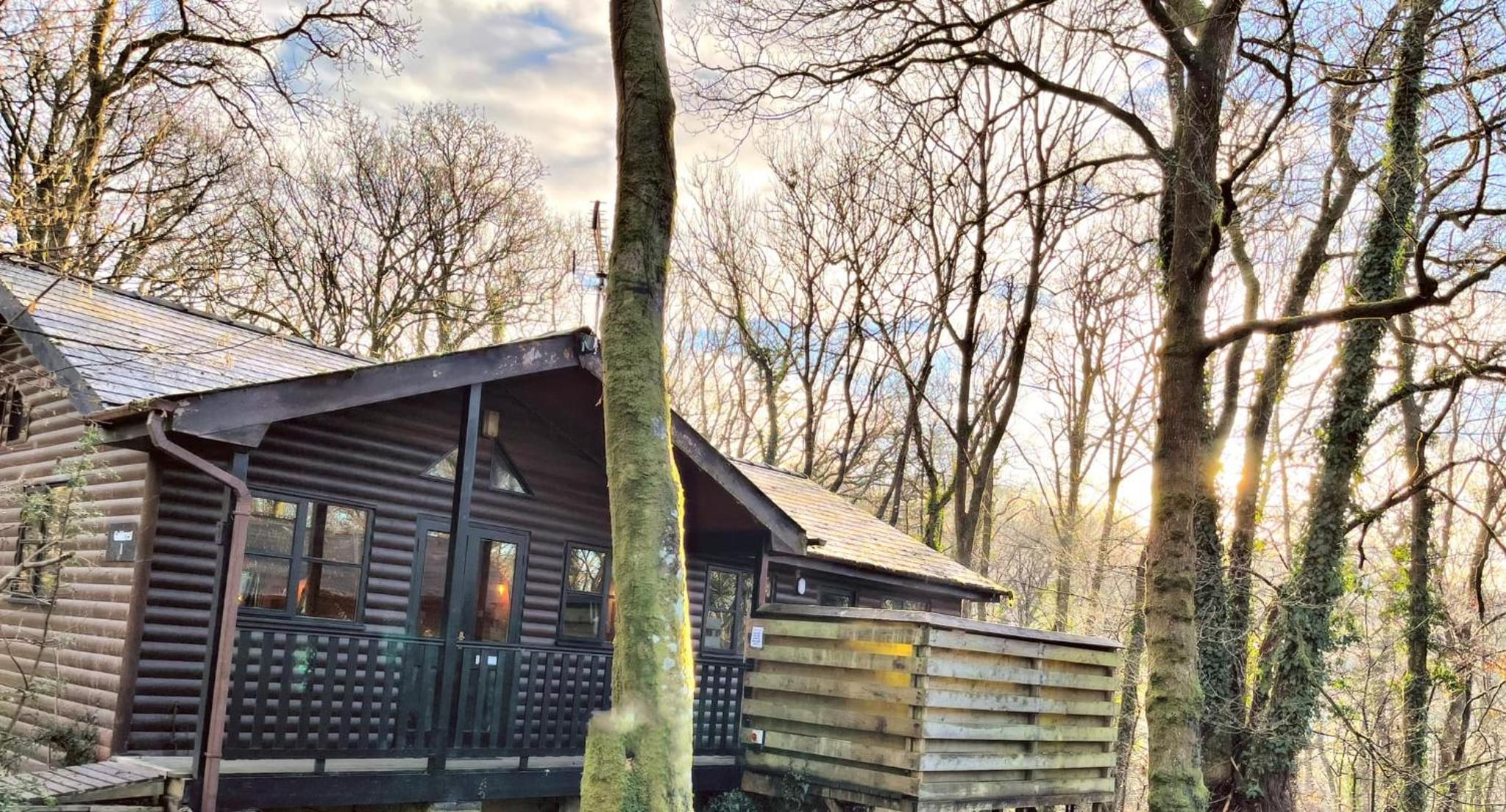 Hotel Goldcrest 1-Hot Tub-Woodland Lodges-Carmarthenshire-Tenby