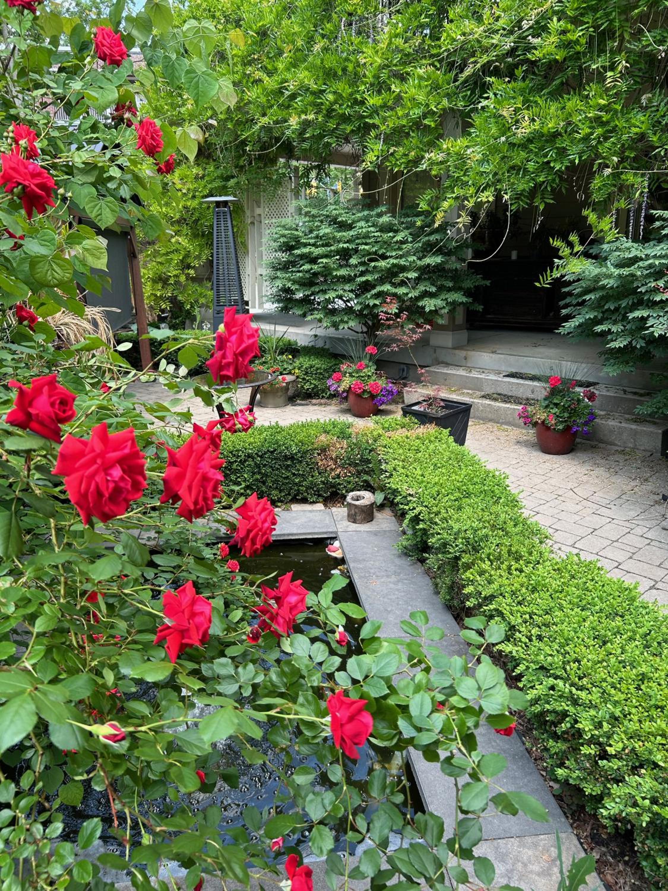 Norfolk Guest House Inn, photo 53