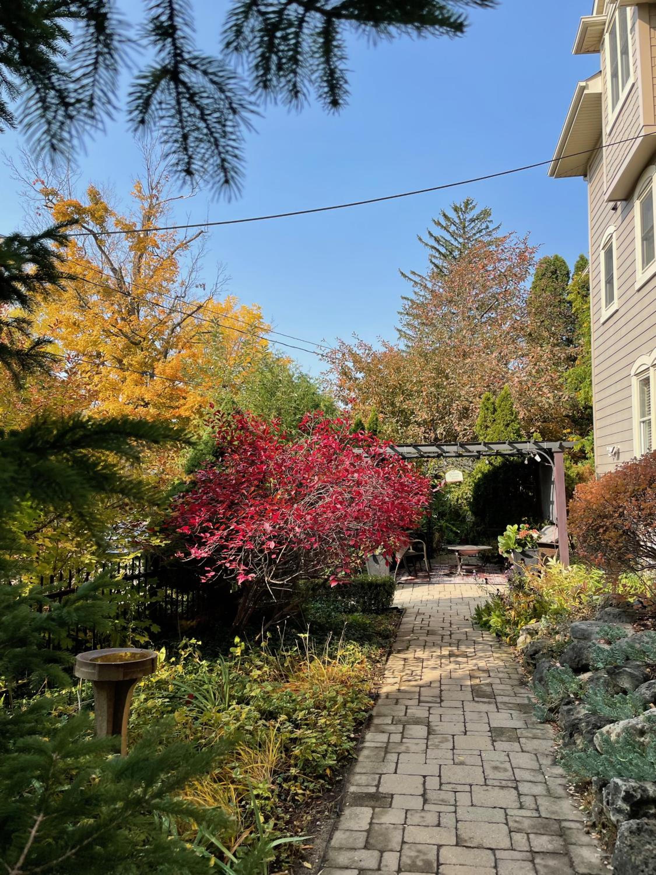 Norfolk Guest House Inn, photo 28