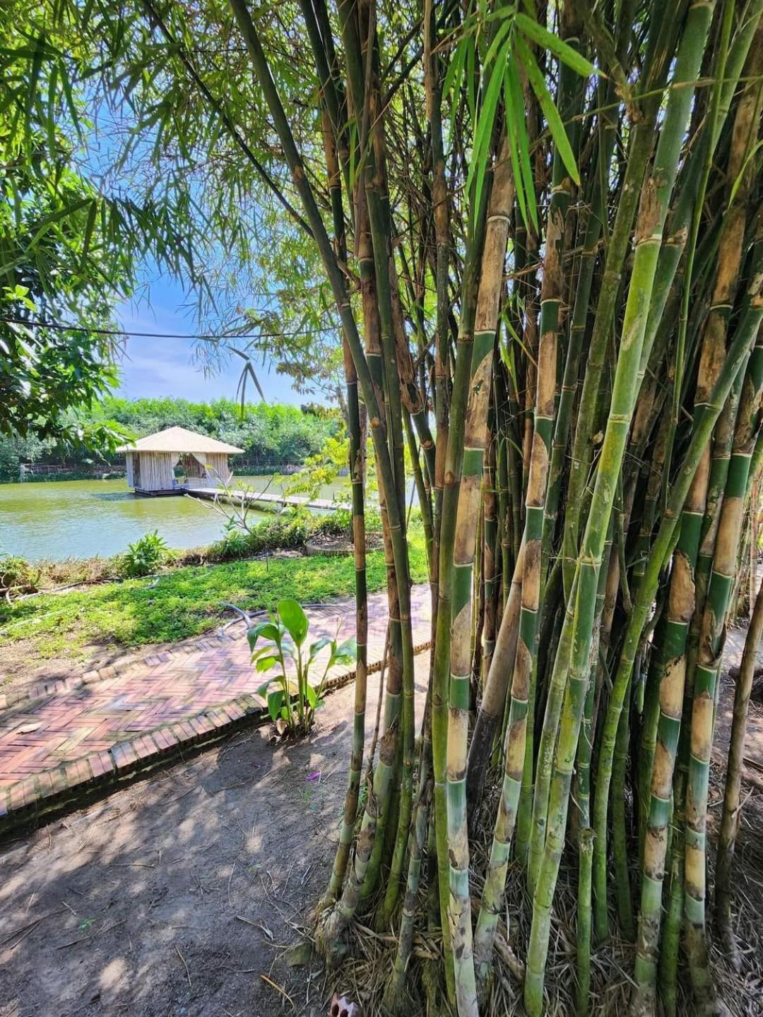 TINA LAKESIDE AO ĐÔI Homestay Phước Hải