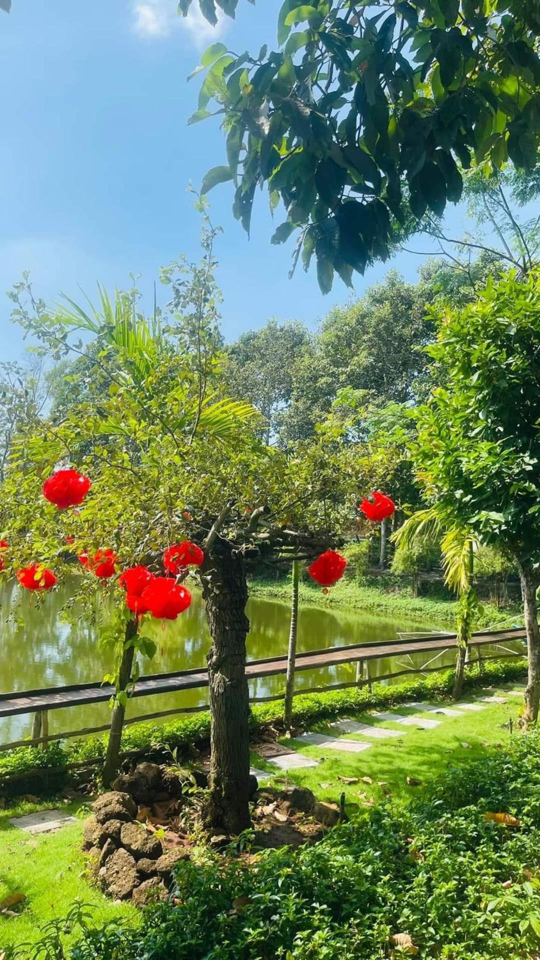 TINA LAKESIDE AO ĐÔI Homestay Phước Hải