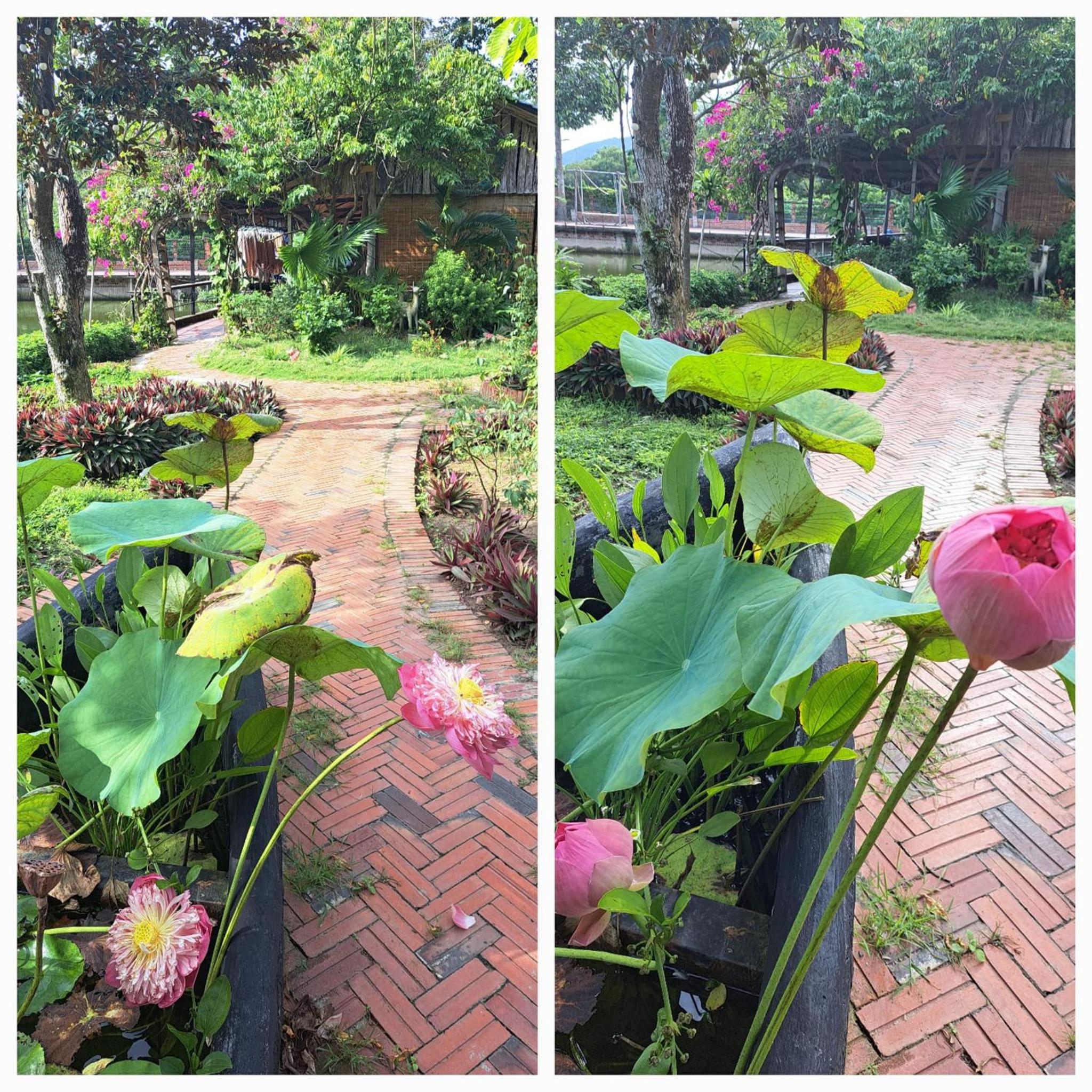 TINA LAKESIDE AO ĐÔI Homestay Phước Hải