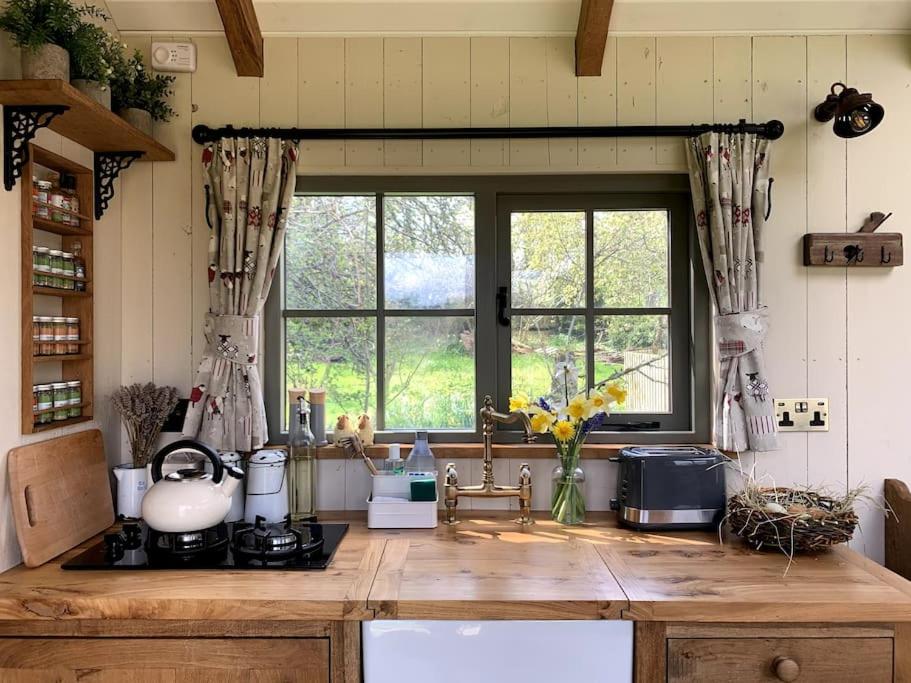 Newton Abbot Vacations - Rushford Shepherd's Hut - Property Image 18