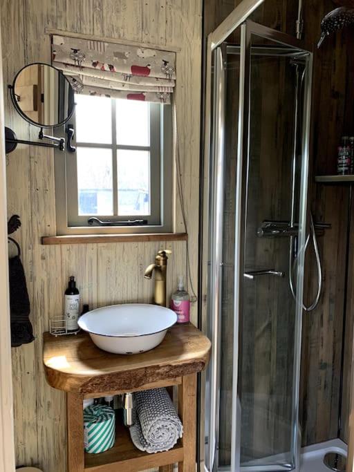 Newton Abbot Vacations - Rushford Shepherd's Hut - Property Image 1