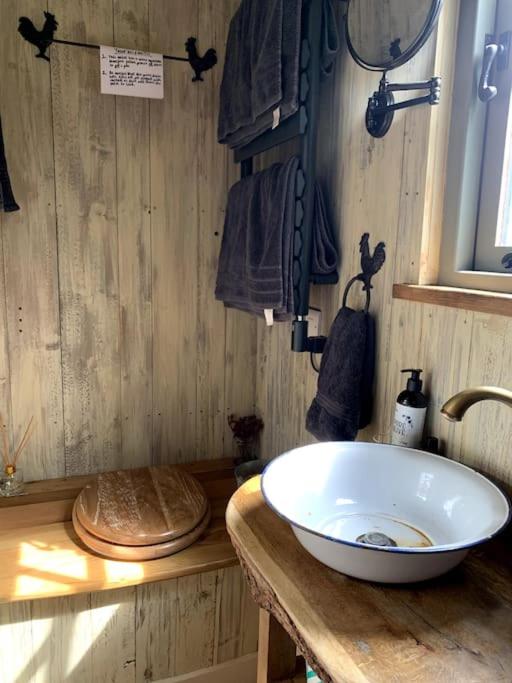 Newton Abbot Vacations - Rushford Shepherd's Hut - Property Image 10